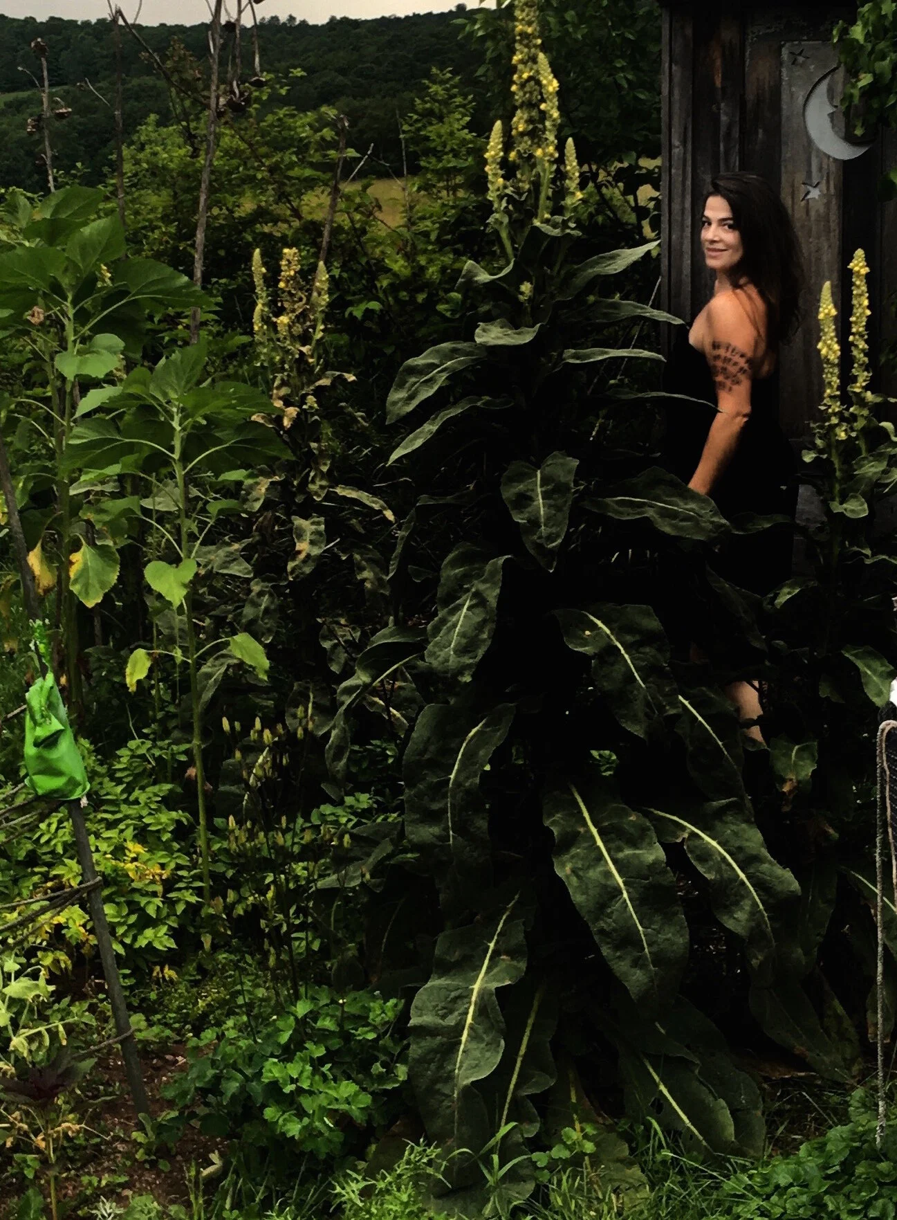 Above: Photo by my mother Lanny Harrison