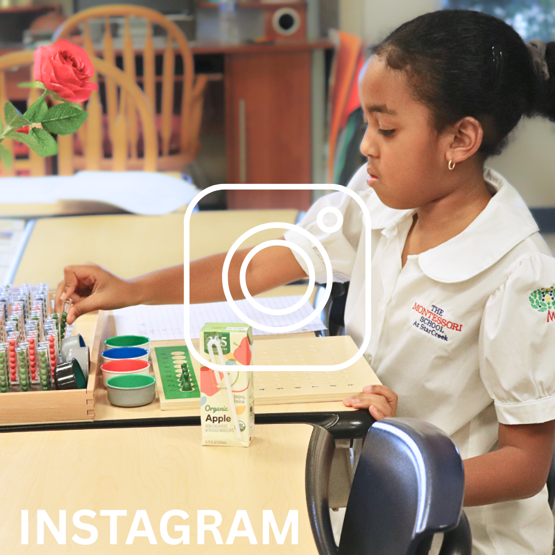 The Montessori School of North Dallas