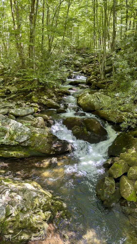 Where the Creek Carries Her