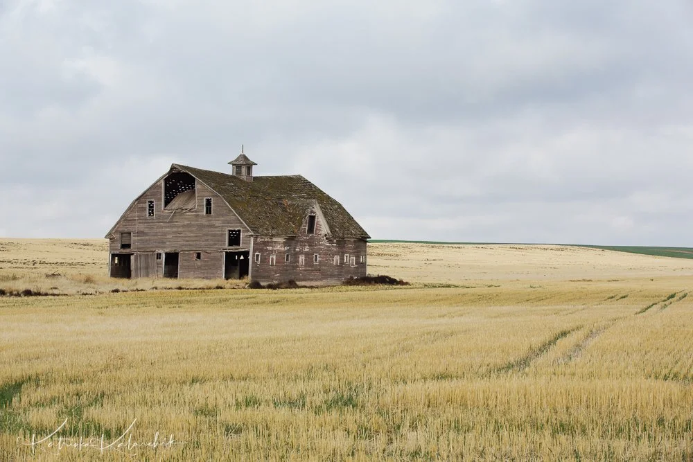 2015_1106_230.jpg