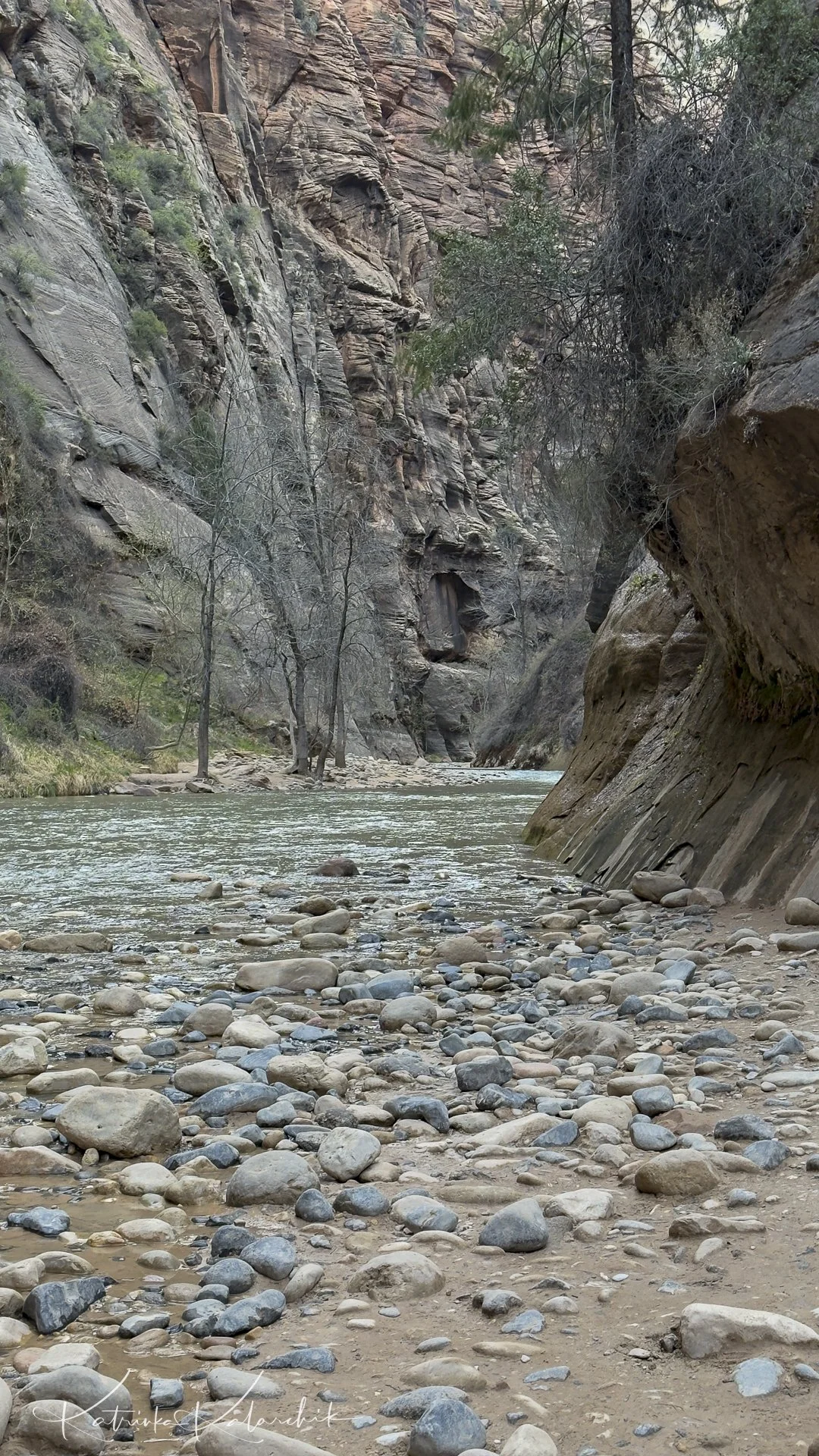 Day 8: Zion, You Had Me At Sunrise