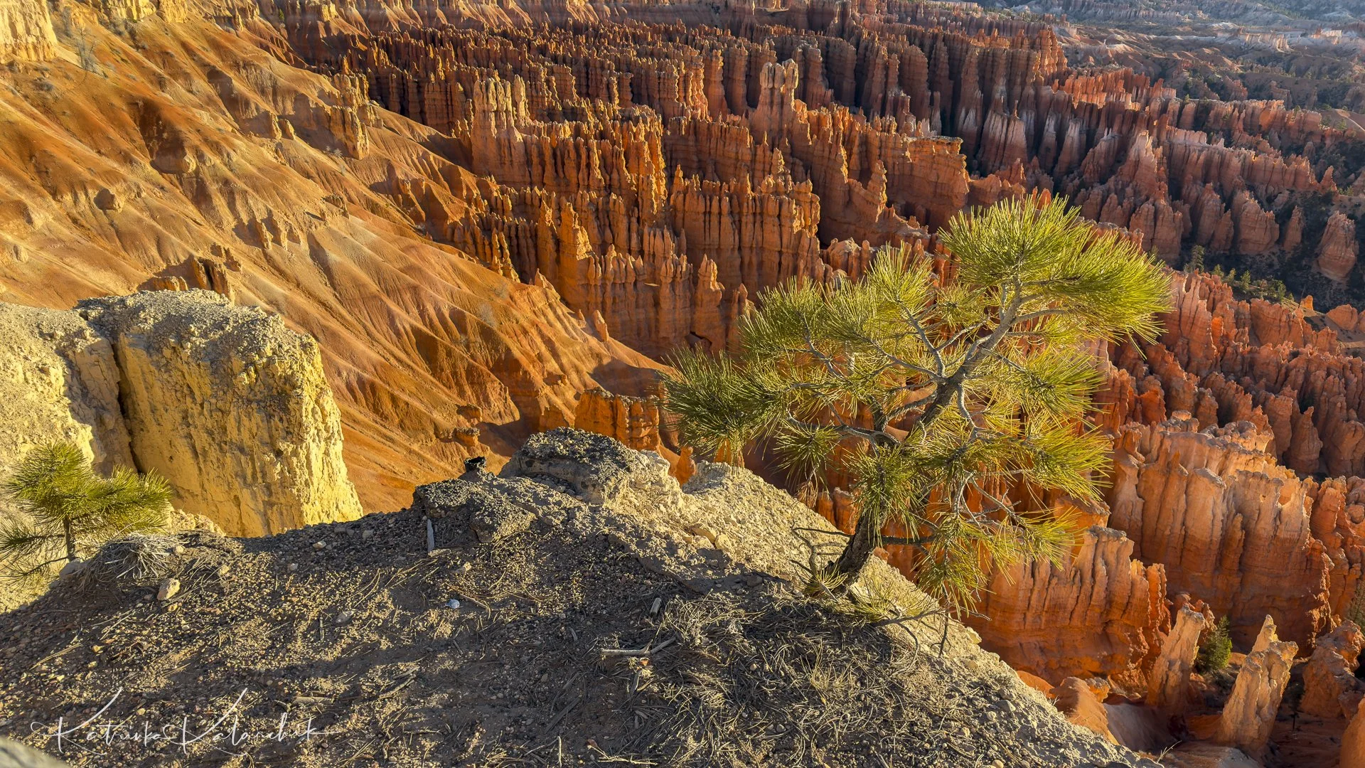 Day 3: Bryce Canyon From Sunrise to Sunset
