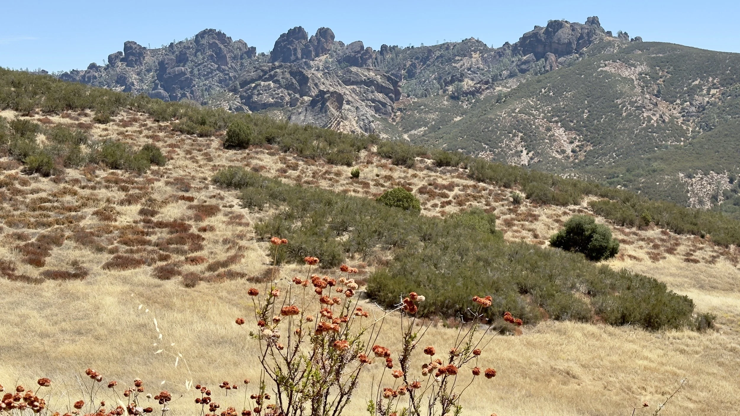 Choose a trail at Pinnacles National Park