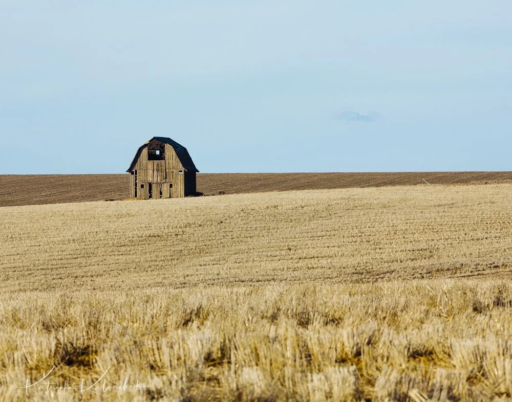 2015_0214_37.jpg