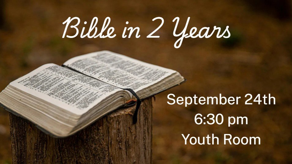 open bible on tree stump with blurred forest background