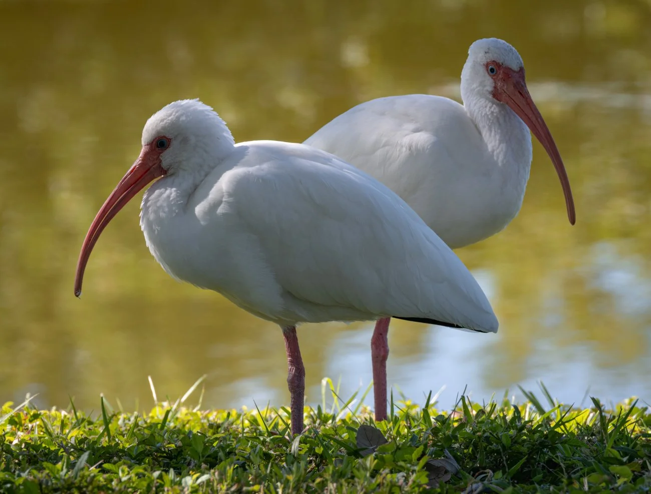 25-11-Cape Canaveral-129.jpg