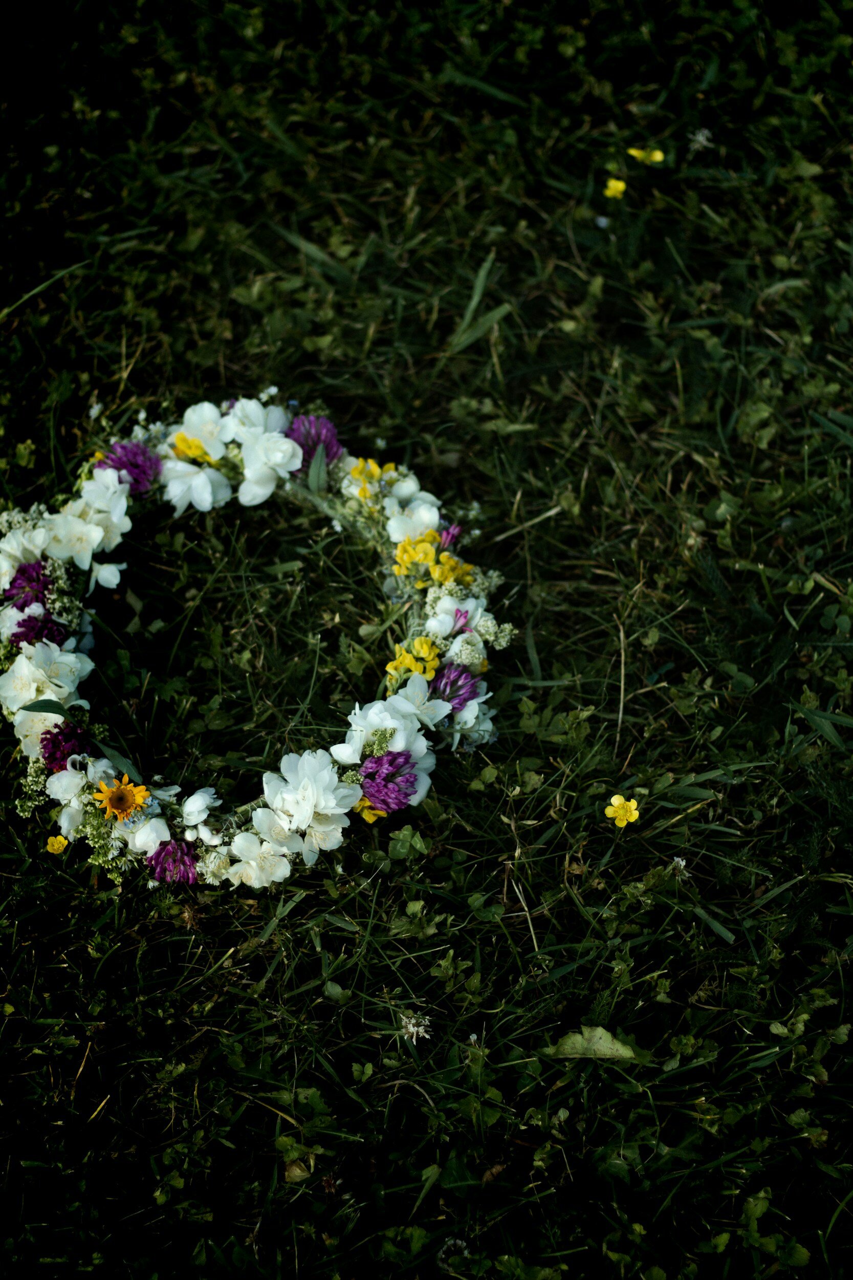 Insamling av grönt till midsommarstången