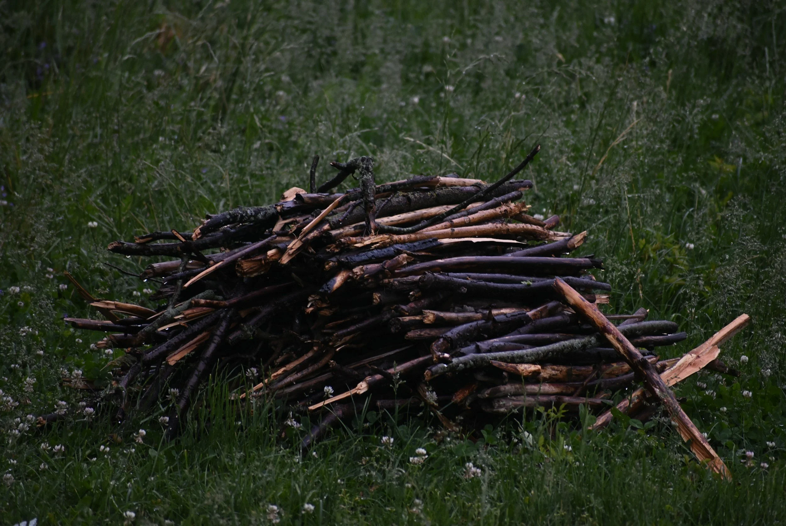 Rishögen öppen till och med 3/5