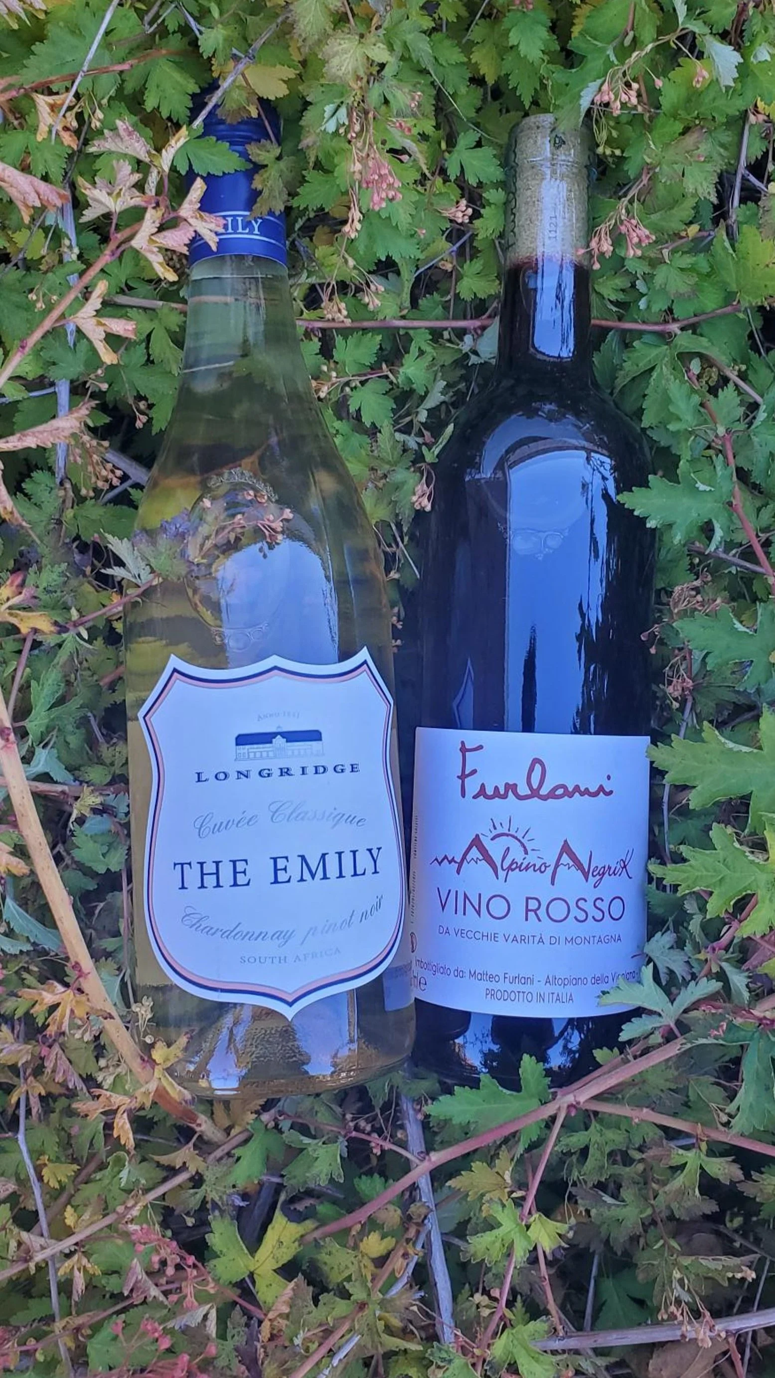 November Wine Club 2021