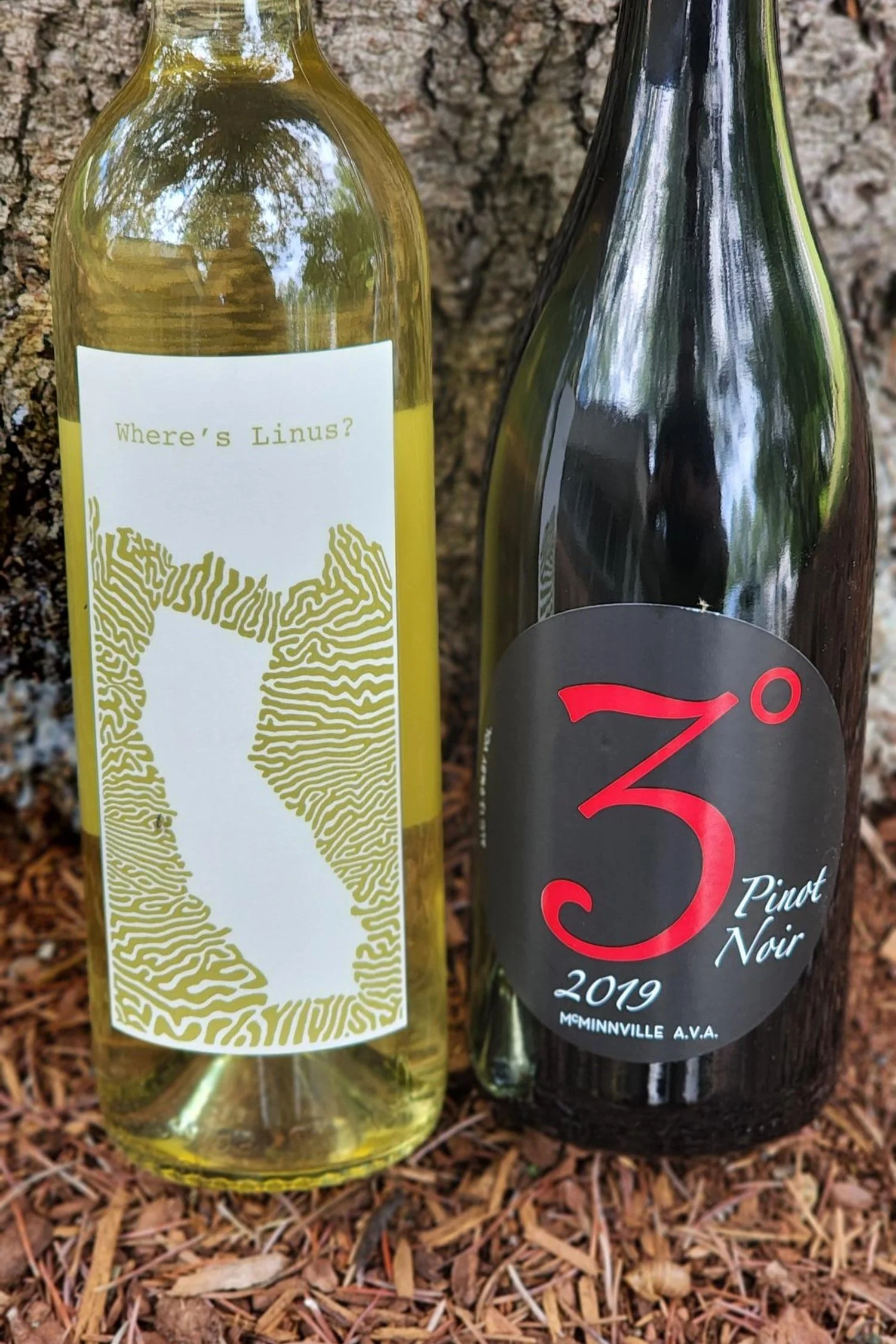May Wine Club 2022