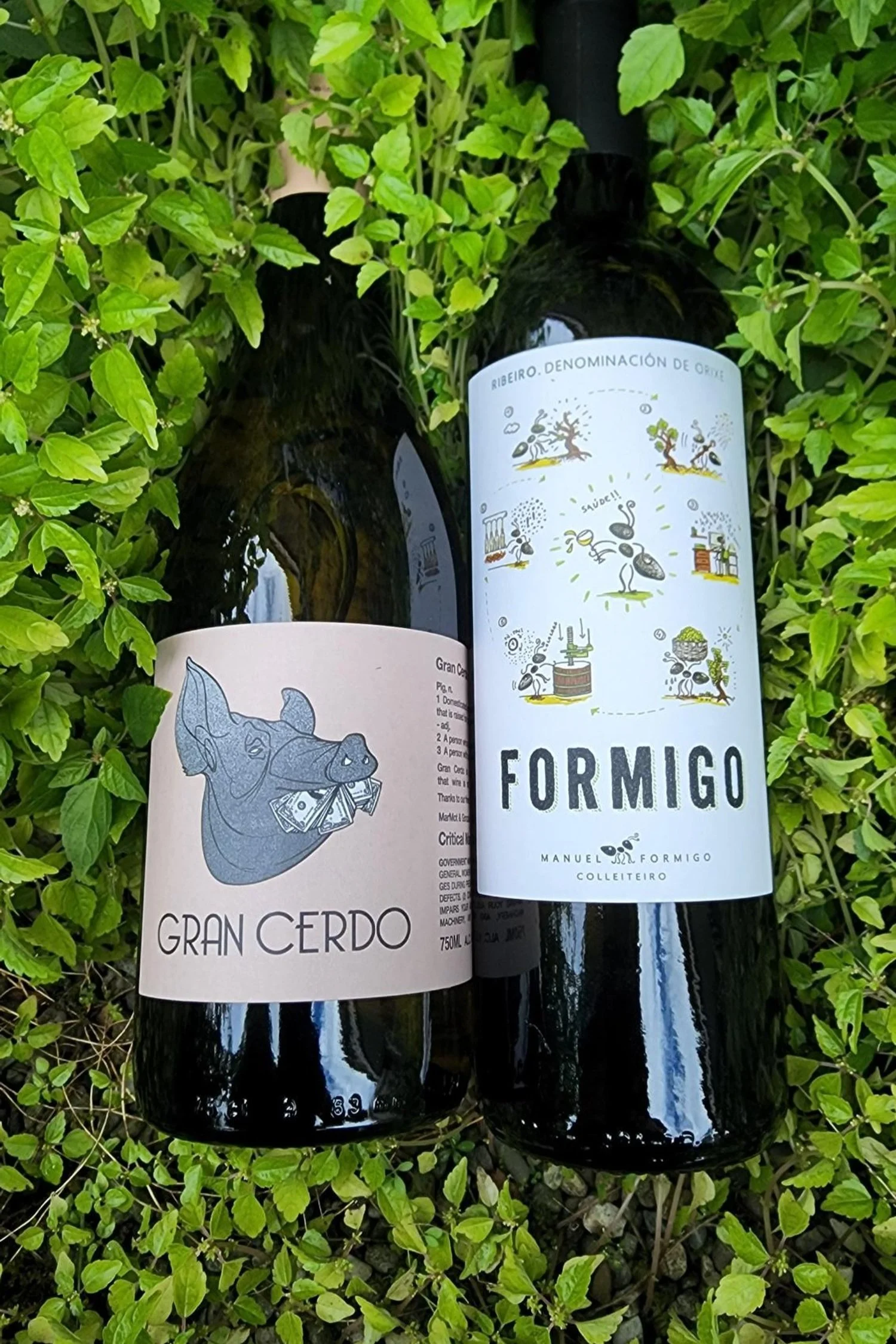 July Wine Club 2022