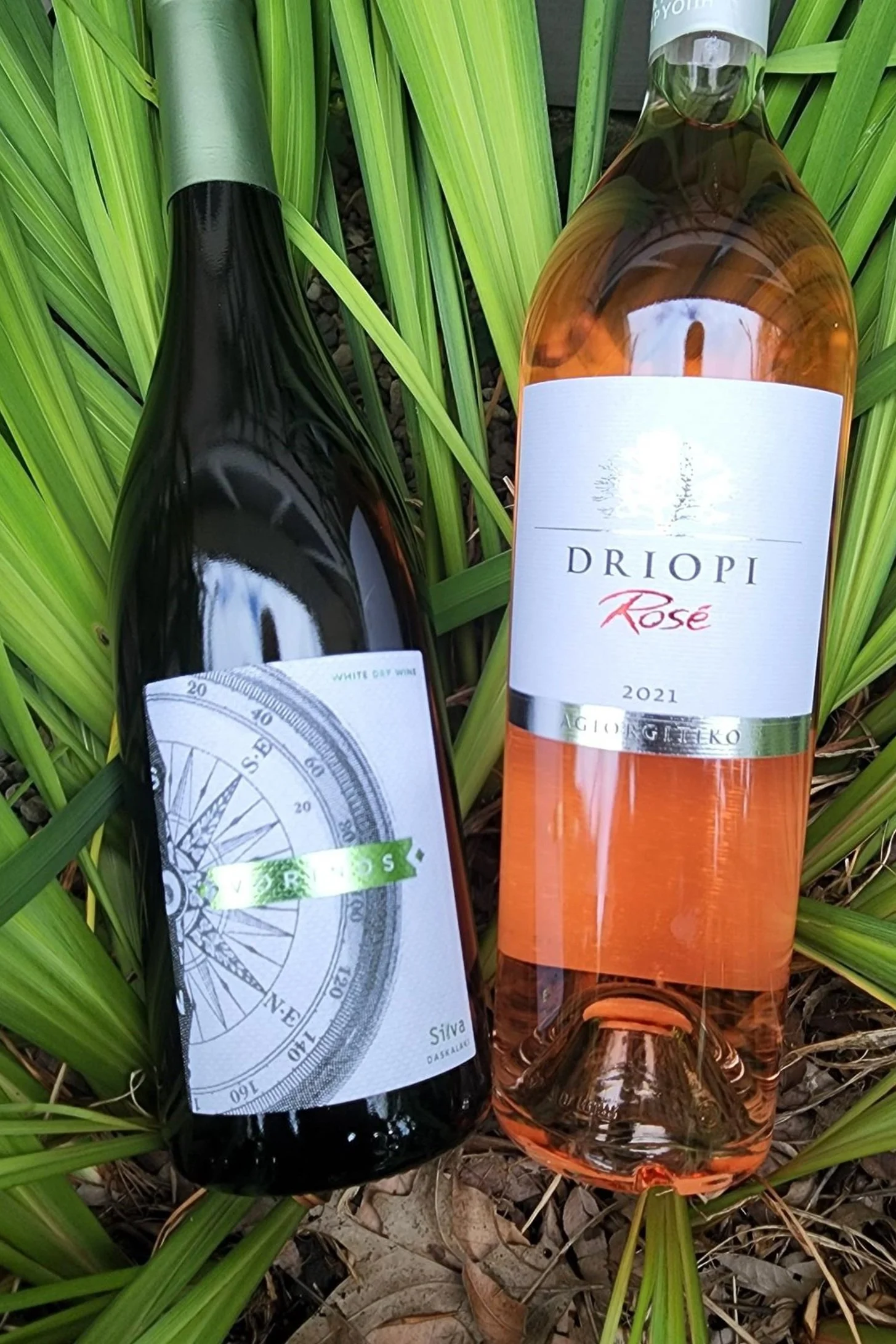 August Wine Club 2022