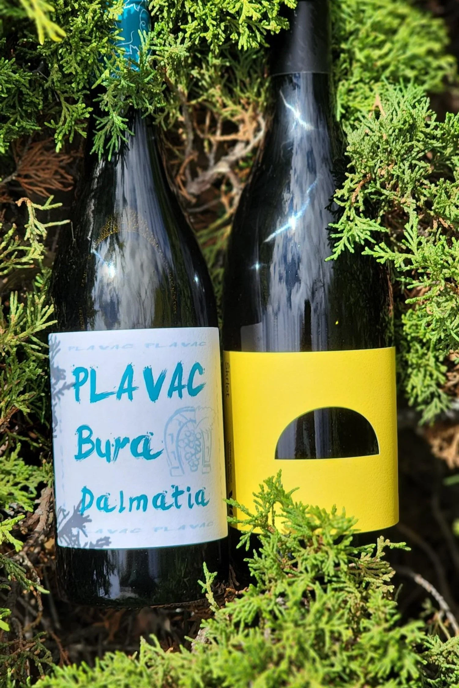 September Wine Club 2022
