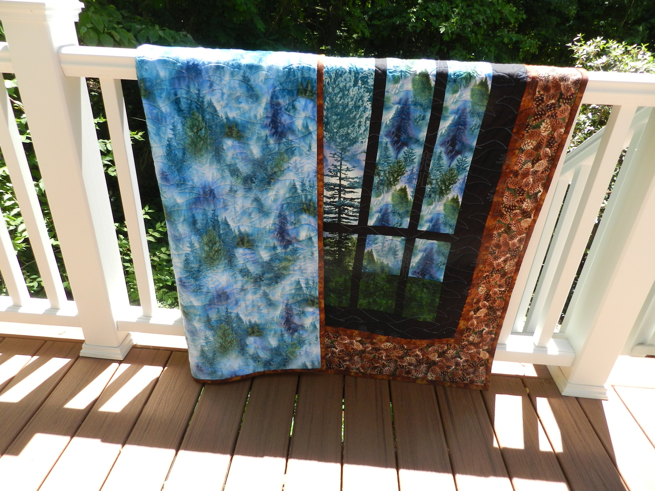 DSCN6706 Mountain Vista Windows 2.JPG