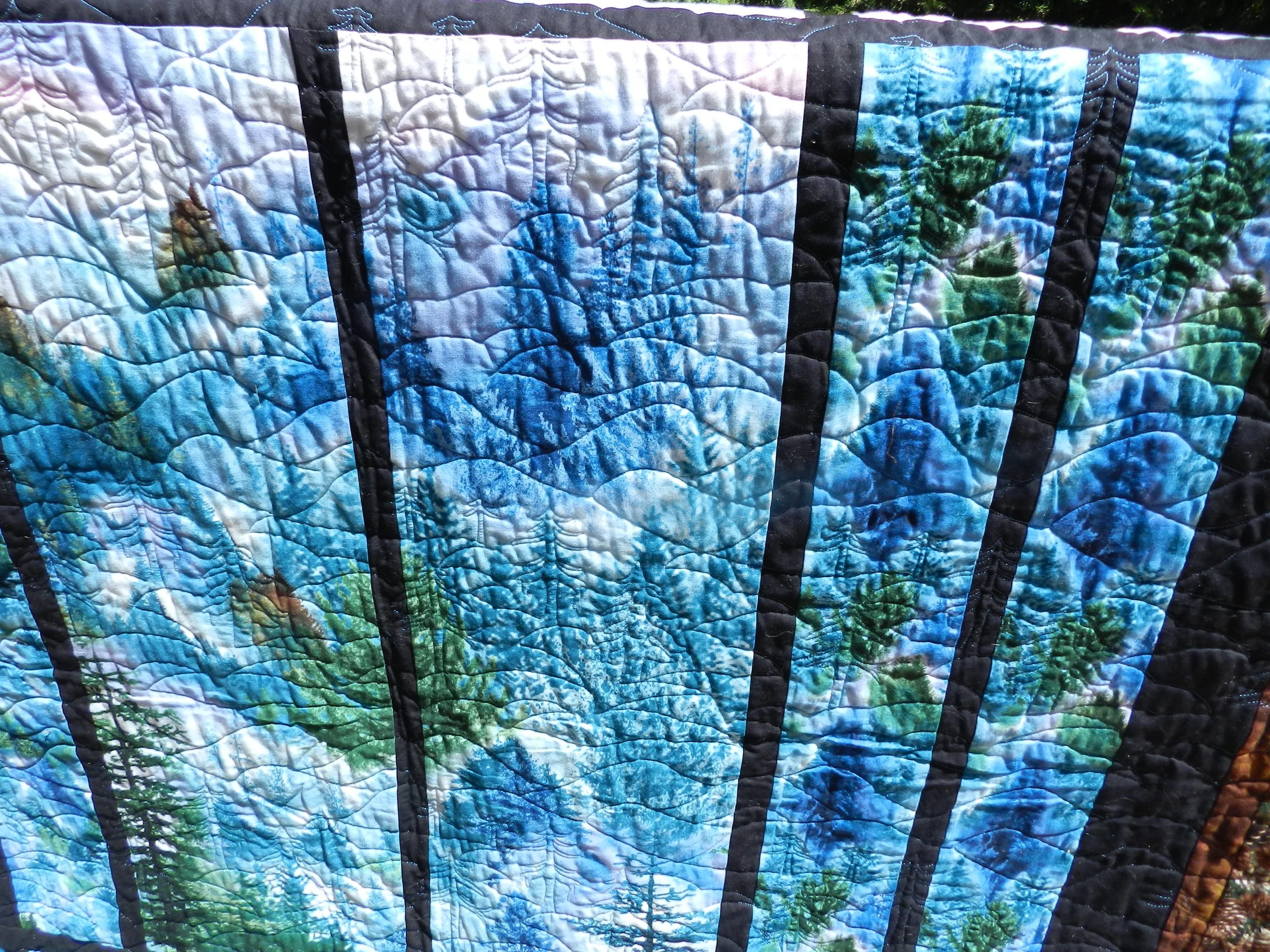 DSCN6710 Mountain Vista close-up.JPG