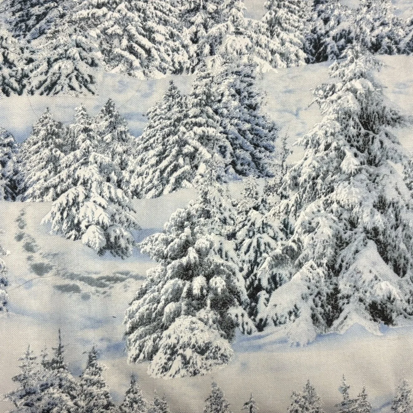 Landscape+Medley+Snowy+Fir+Trees.jpg