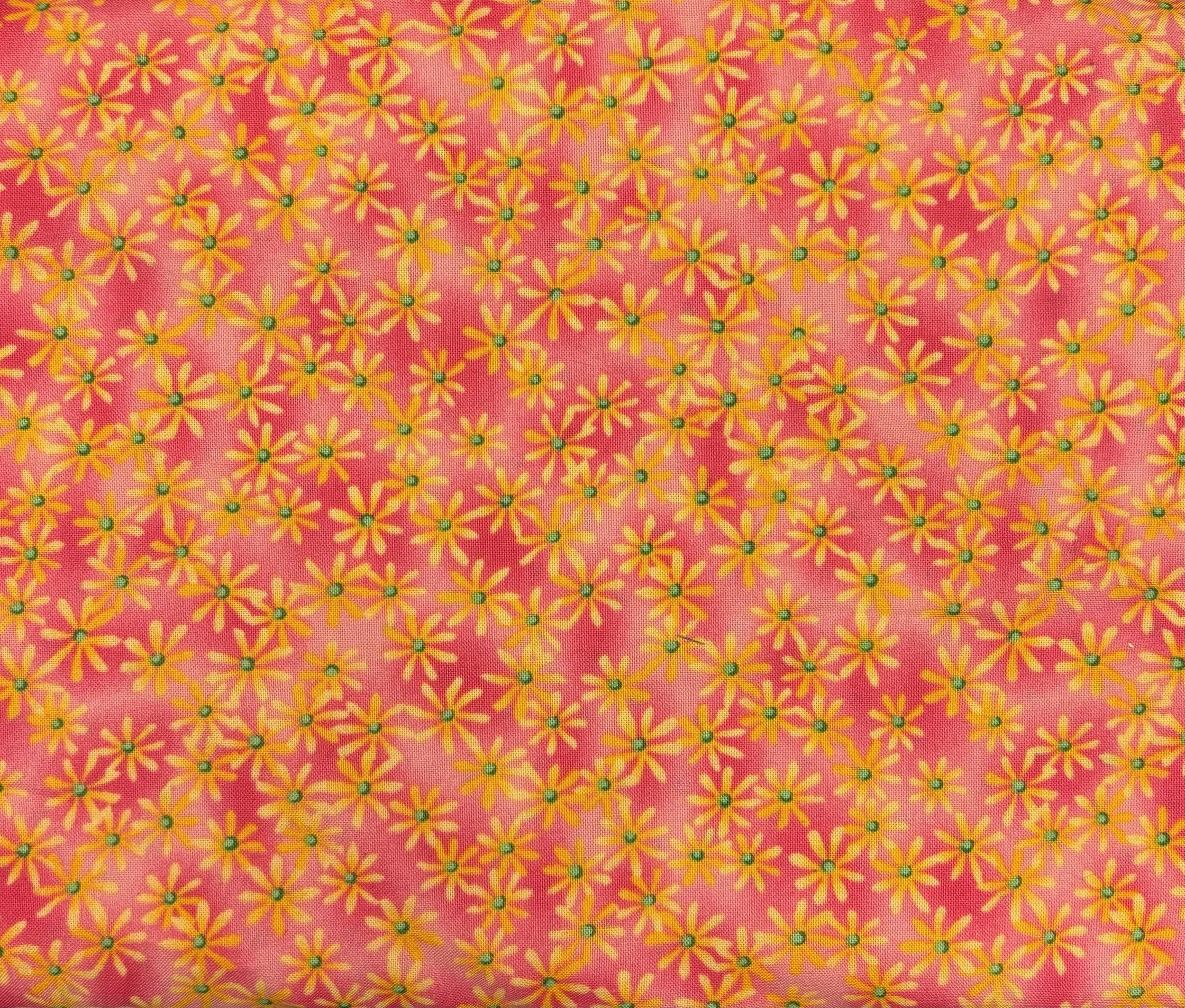 Birds and Bees Pink with Yellow Daisies by Robert Kaufman