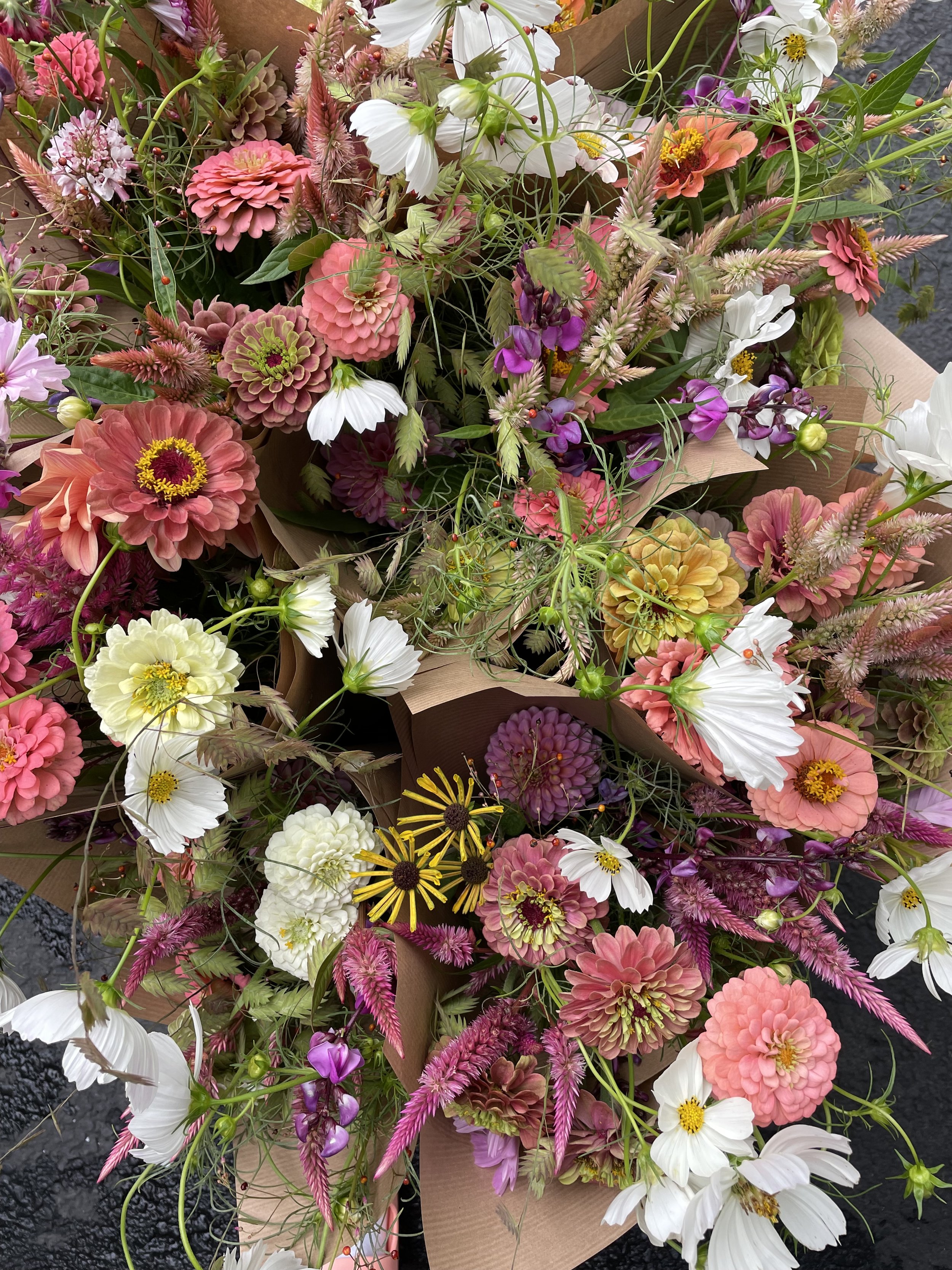 Seasonal Bountiful Bouquets Preorder