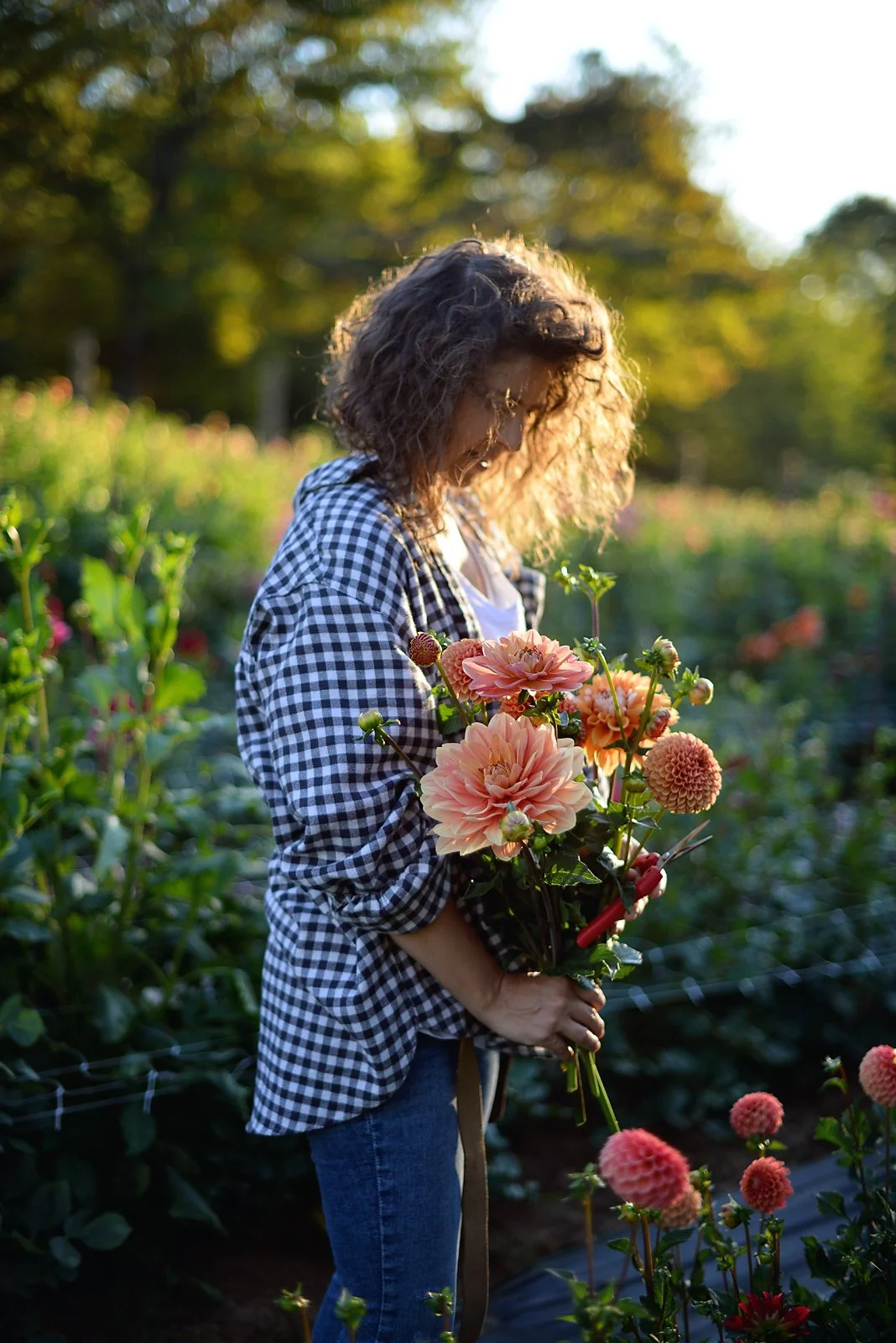 kinga 9.11.25.17.JPG