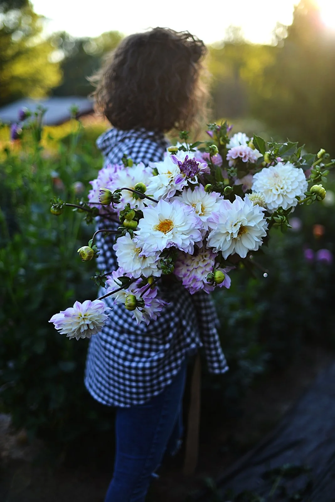 kinga 9.11.25.03.jpeg