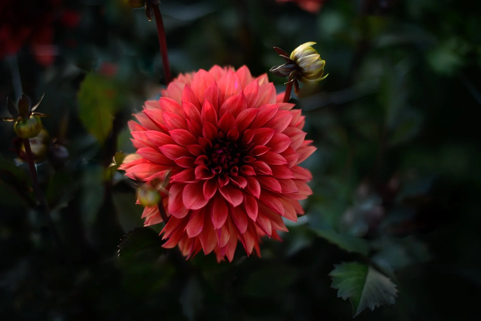 E2EBDF82-9BBF-4372-BE21-85BAD9F49C19.JPG (Copy)