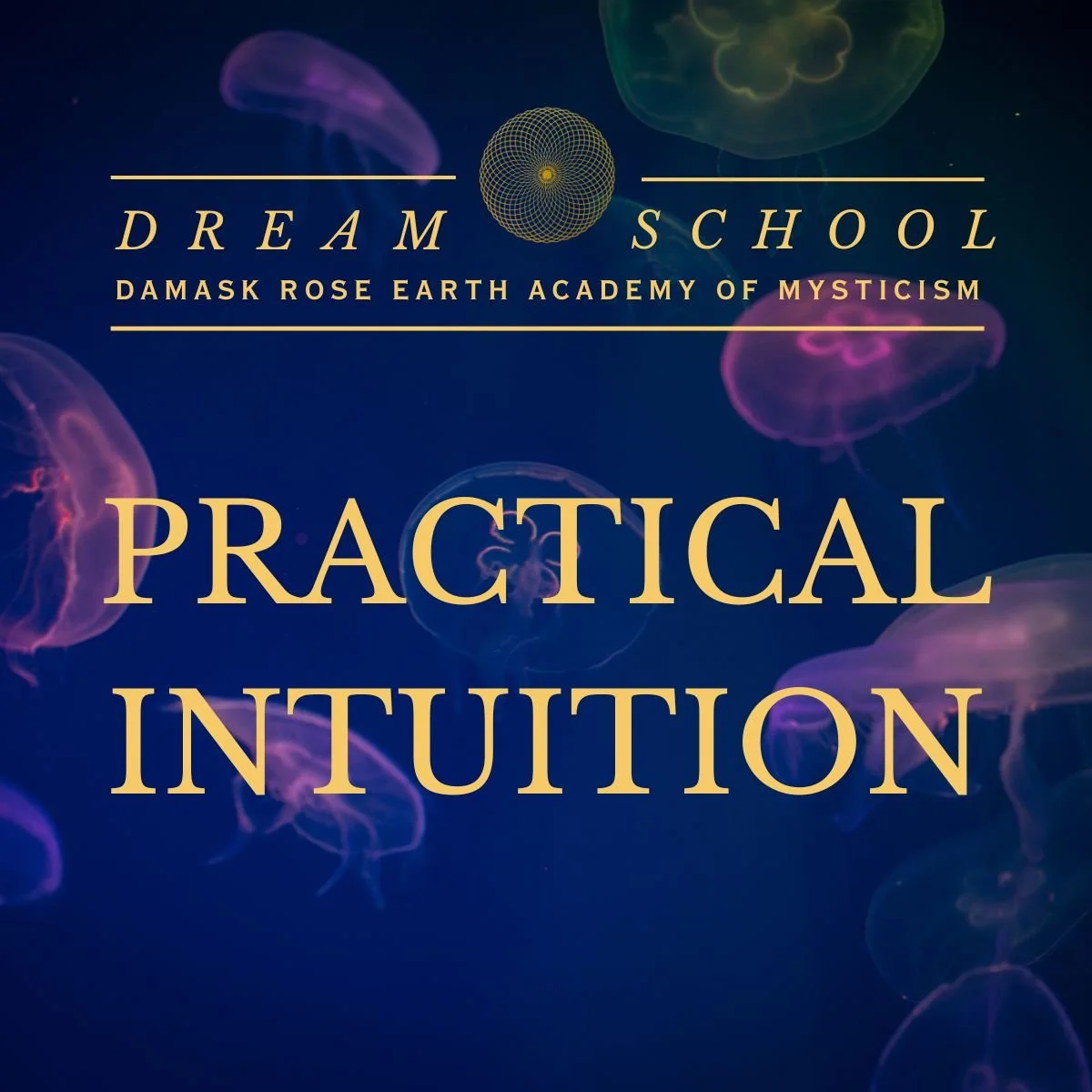 Practical Intuition 1:3