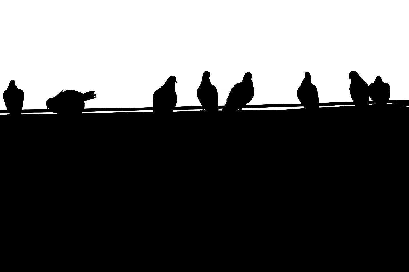 Birds on a Wire
