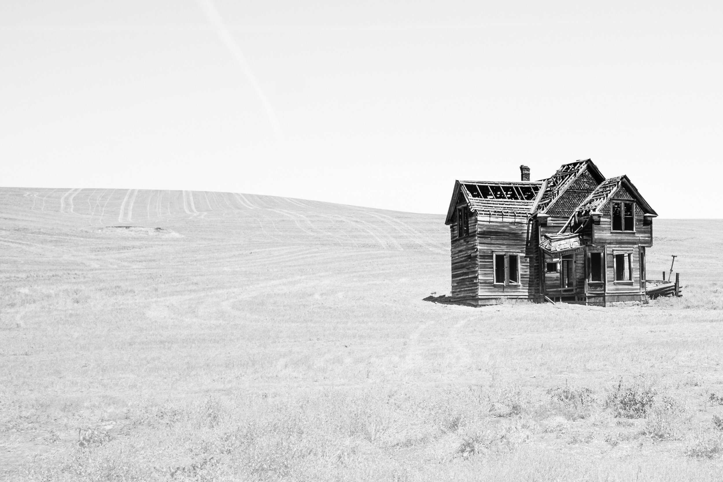 Homestead