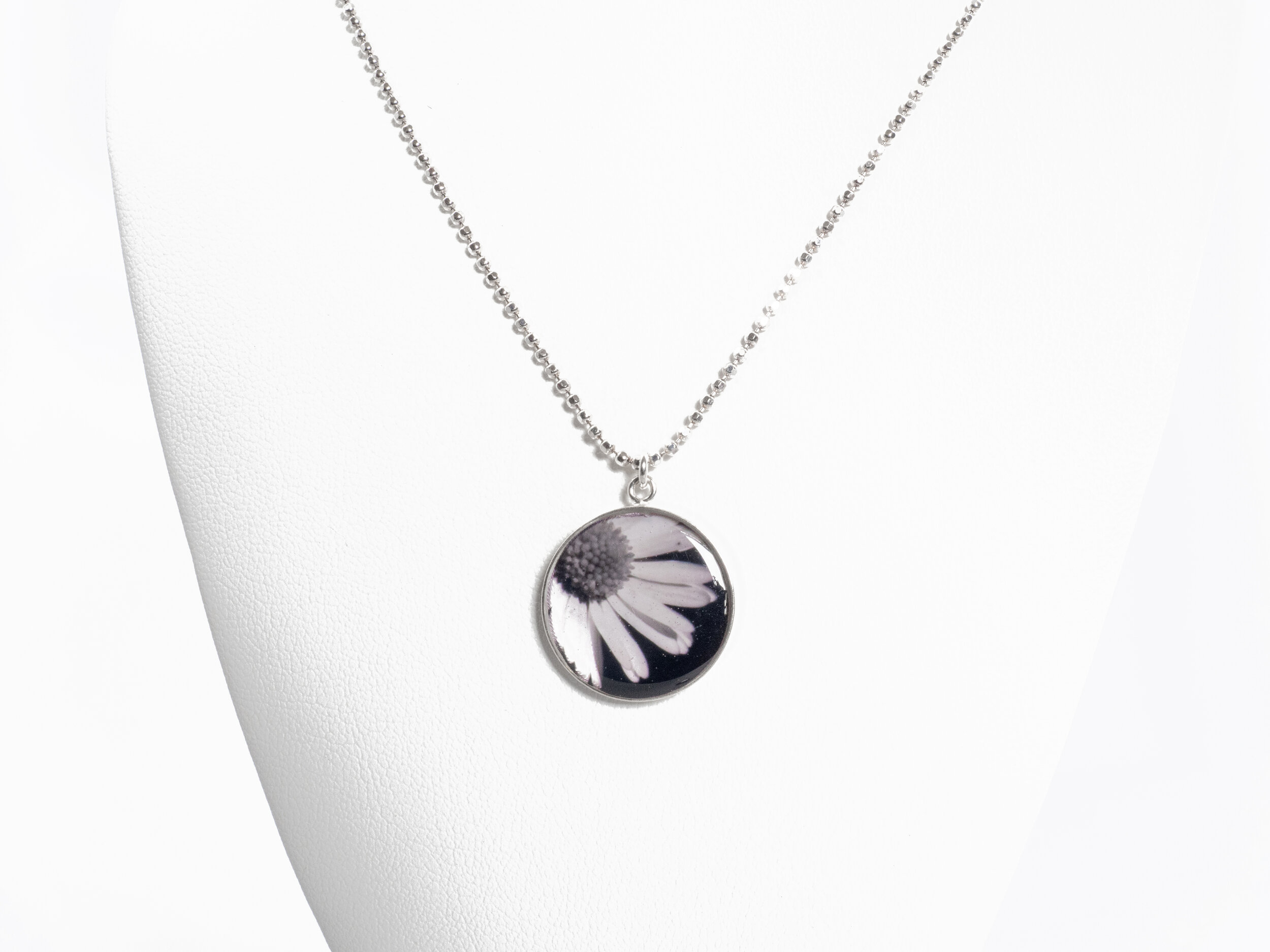 Black and White Daisy