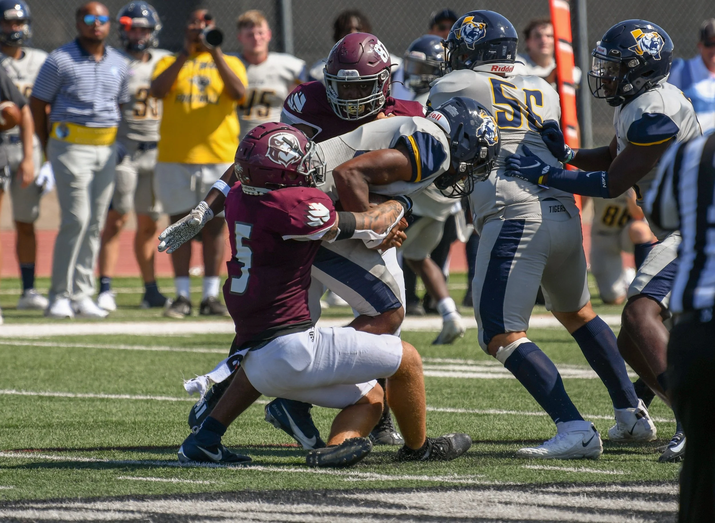 DSC_0783_edited.jpg