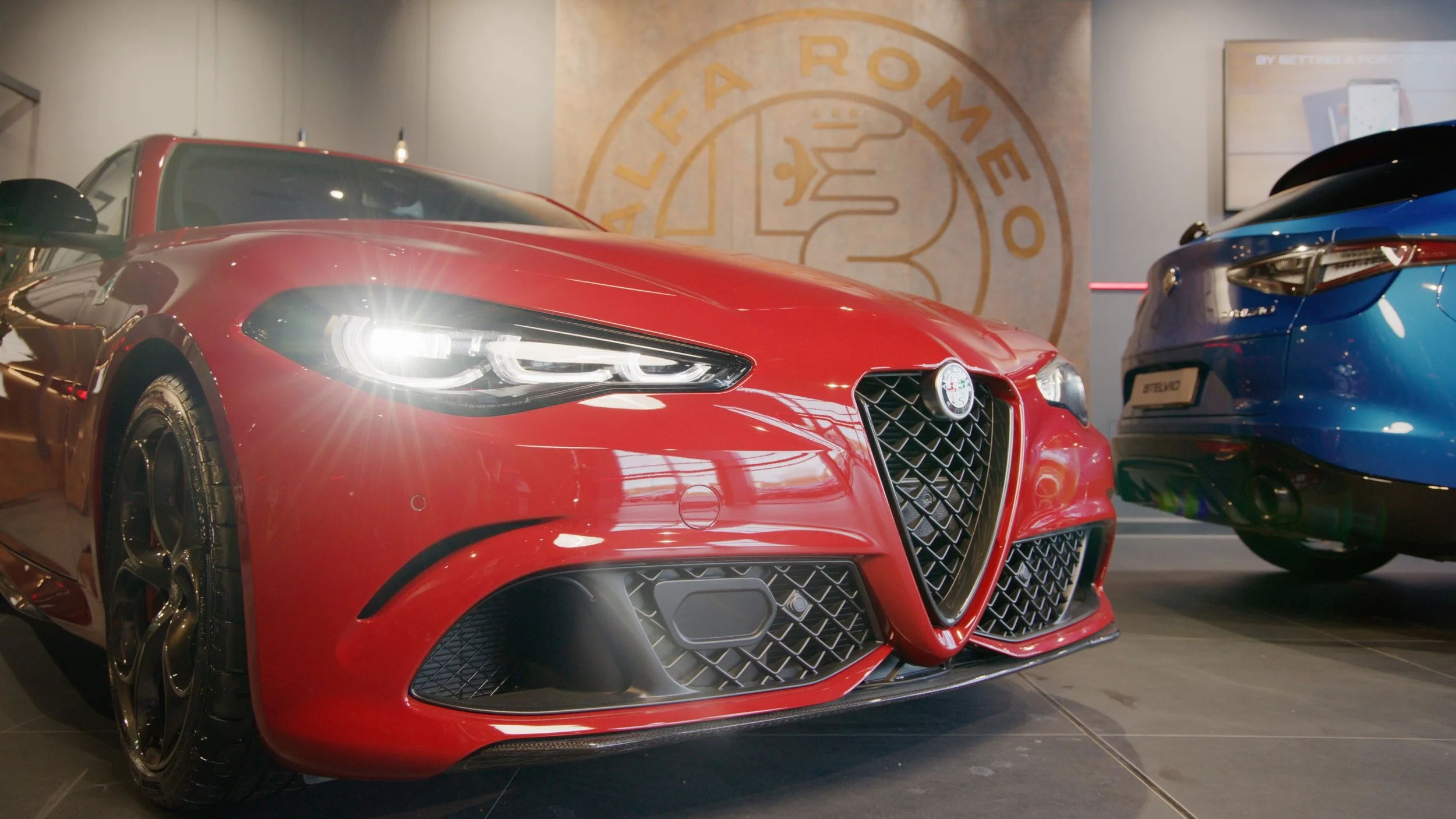 Alfa8.jpg