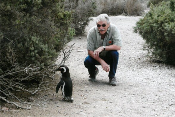 9. Avec a penguin in Argentina