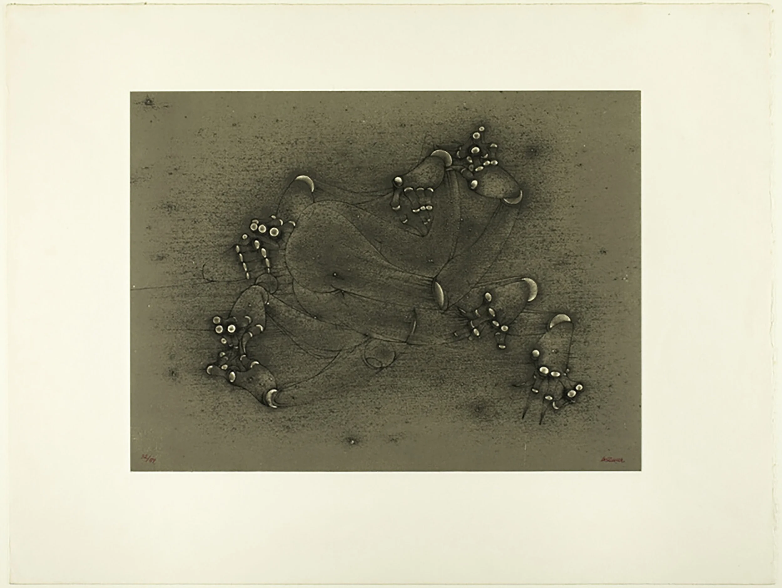 Hans Bellmer The Anatomy of Anxietベルメール Hans Bellmer: The Anatomy of Anxiety | Sue Taylor Hans
