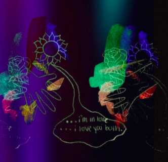 A Pink Rose For a Sunflower or a Sunflower For a Pink Rose?