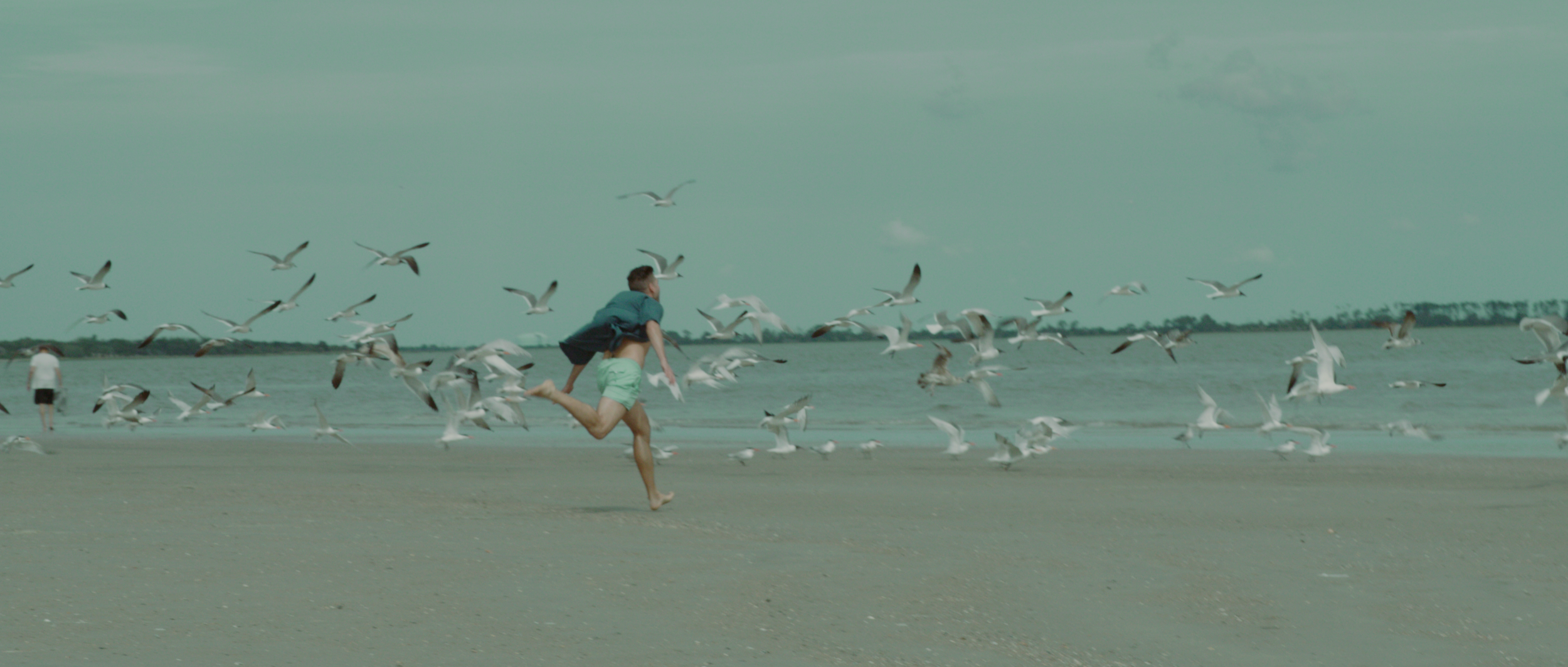 RUNNING WITH THE BIRDS.png