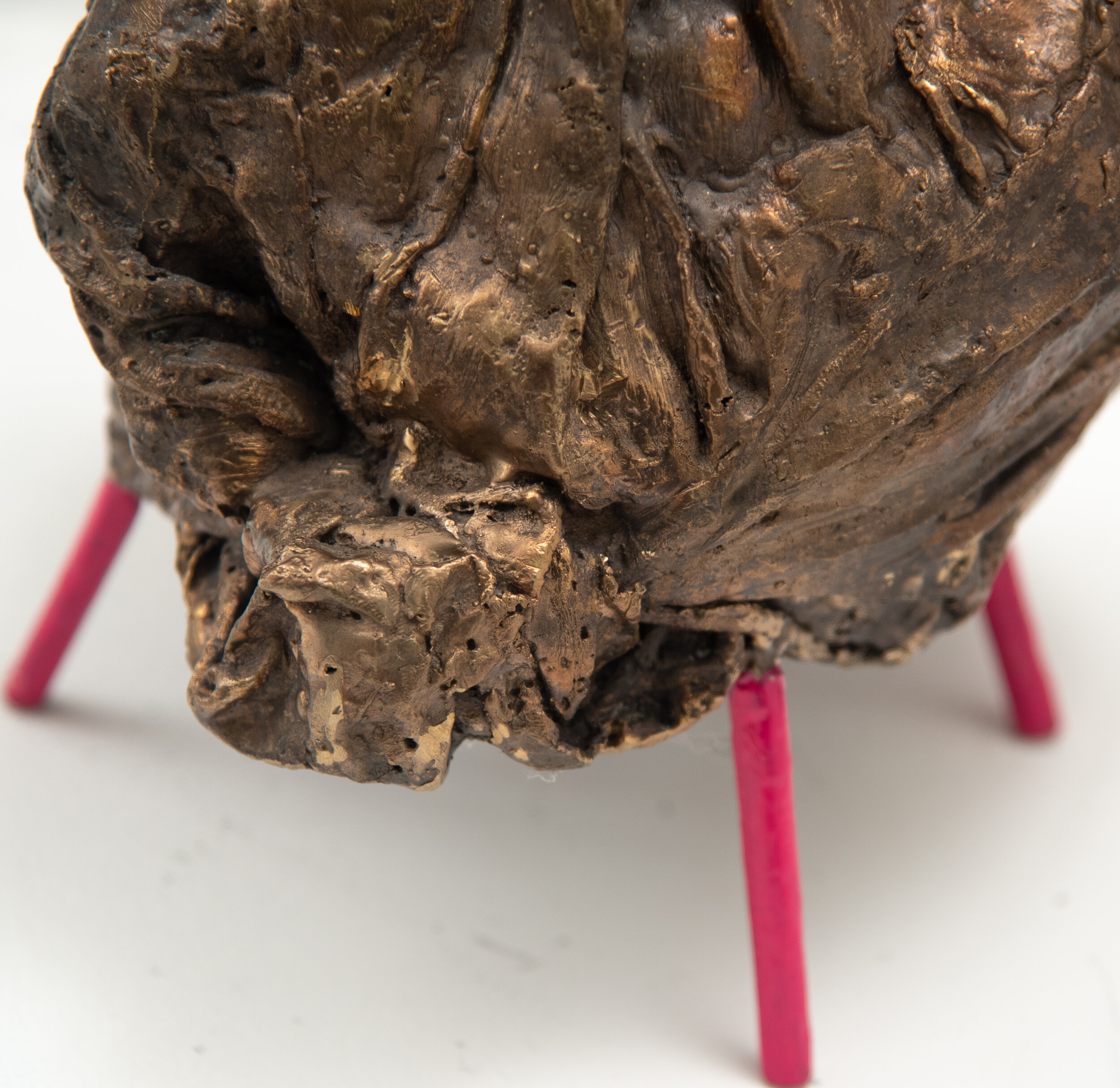 1ST closeup3.jpg