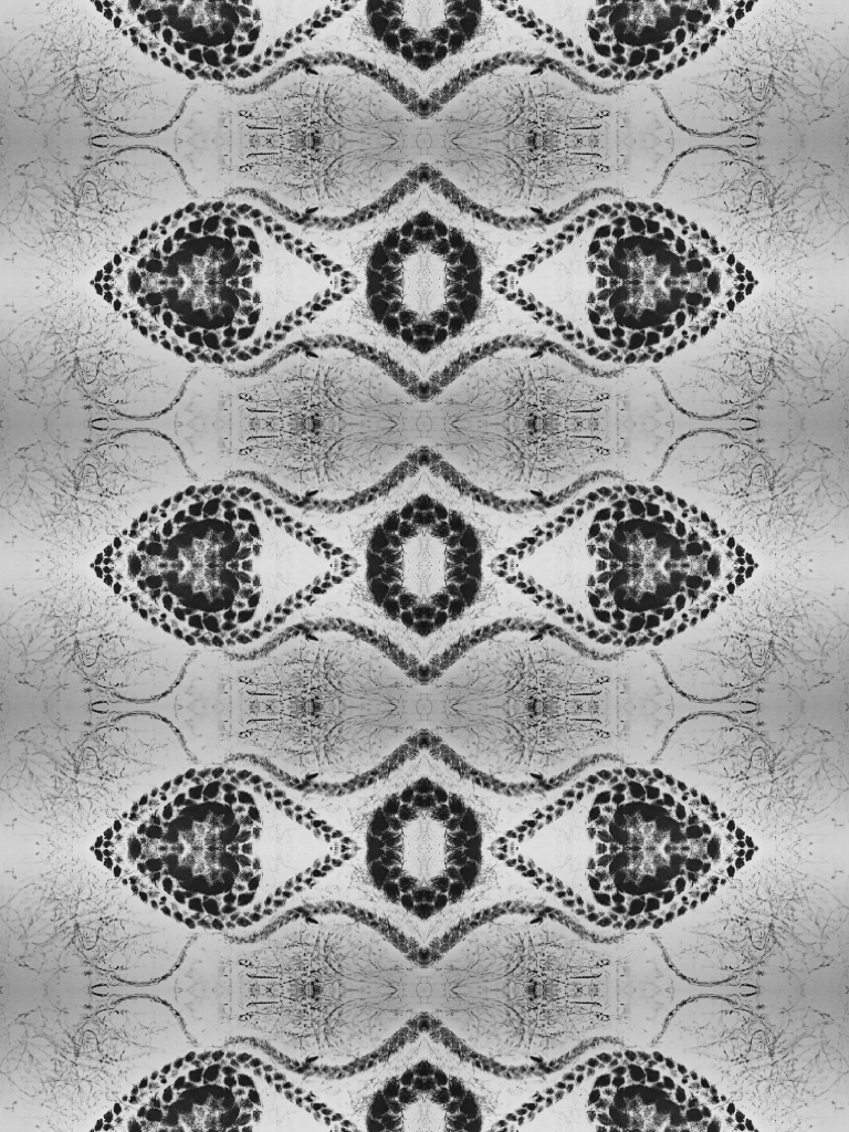 PicCollage (10).png