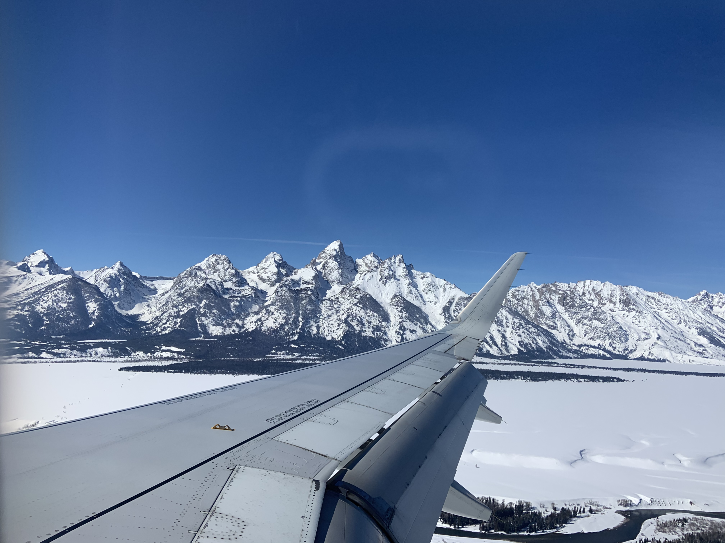 Judgy McJudgerson + Bouncy McBouncerson