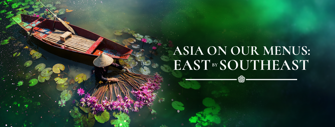 CIAPro 1380x524, simple.png