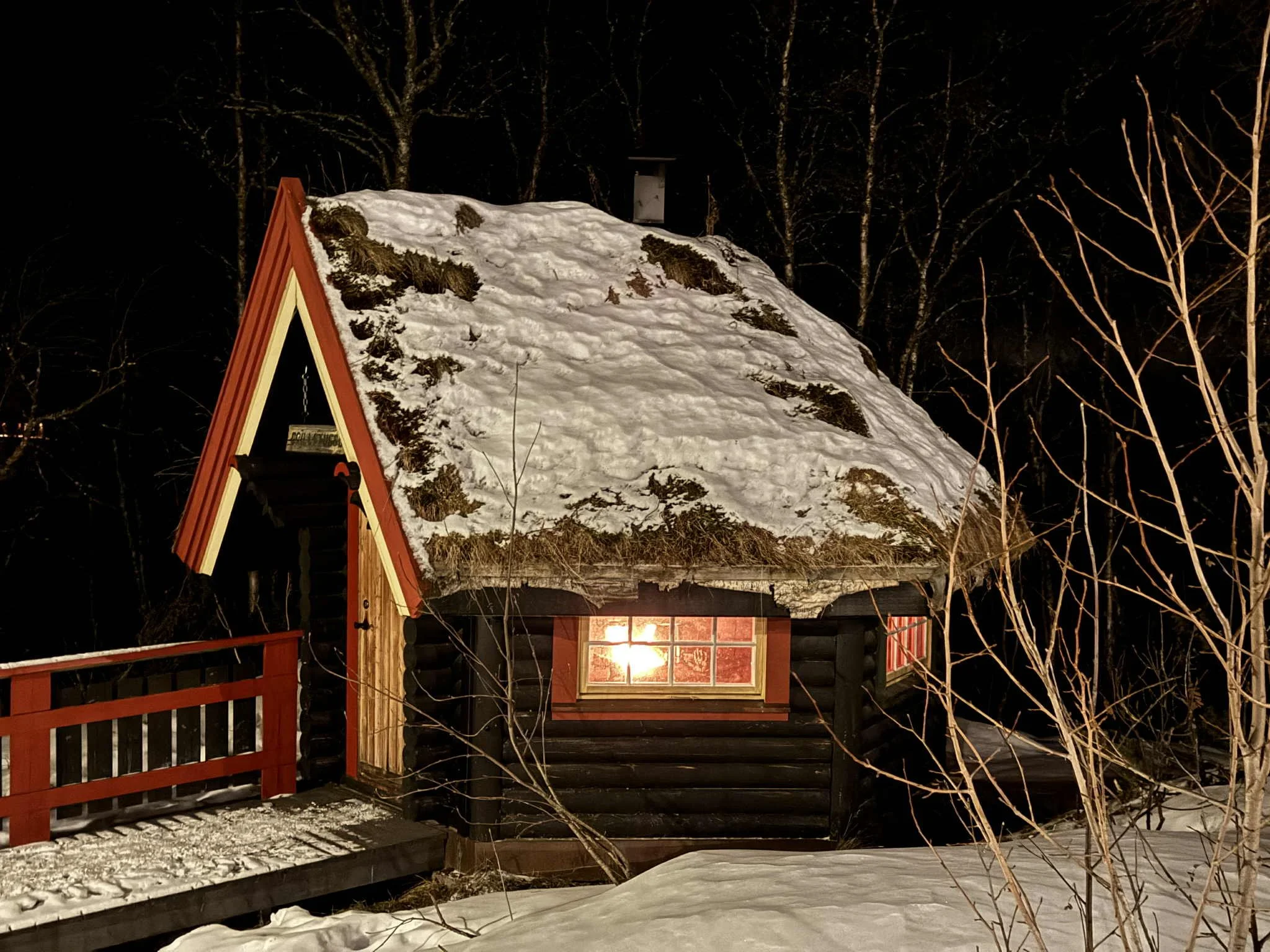 1 fire cabin roof.jpeg