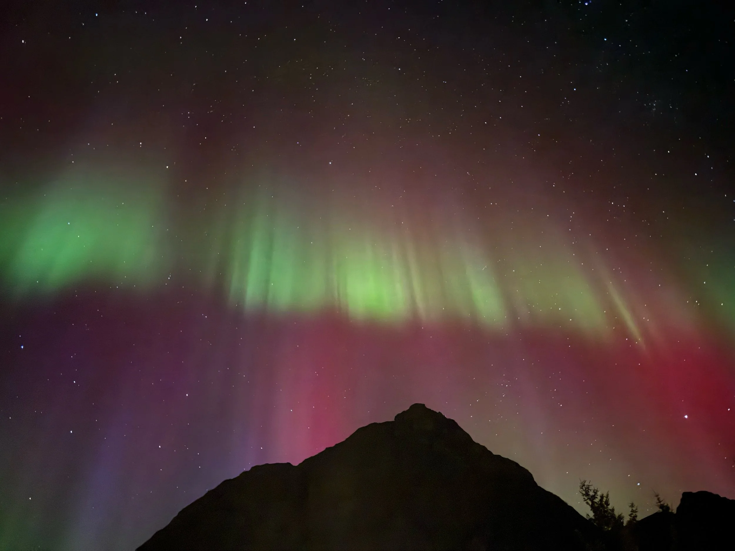 2 lofoten aurora 1.JPEG