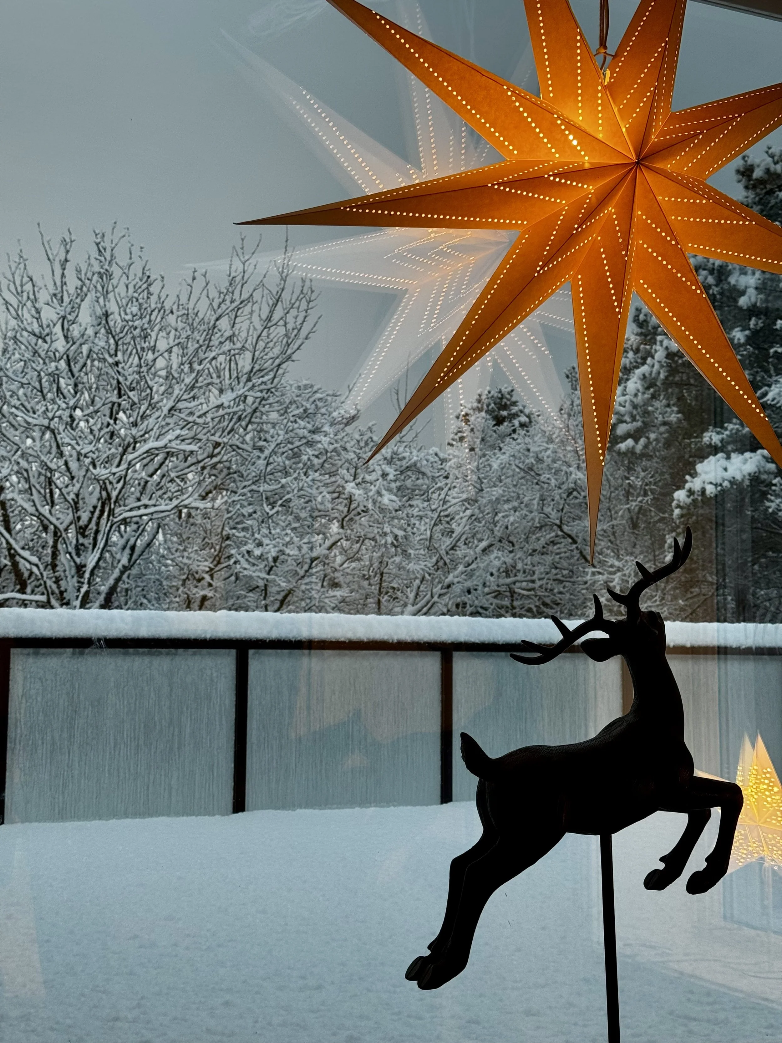 4 snow through window.jpeg