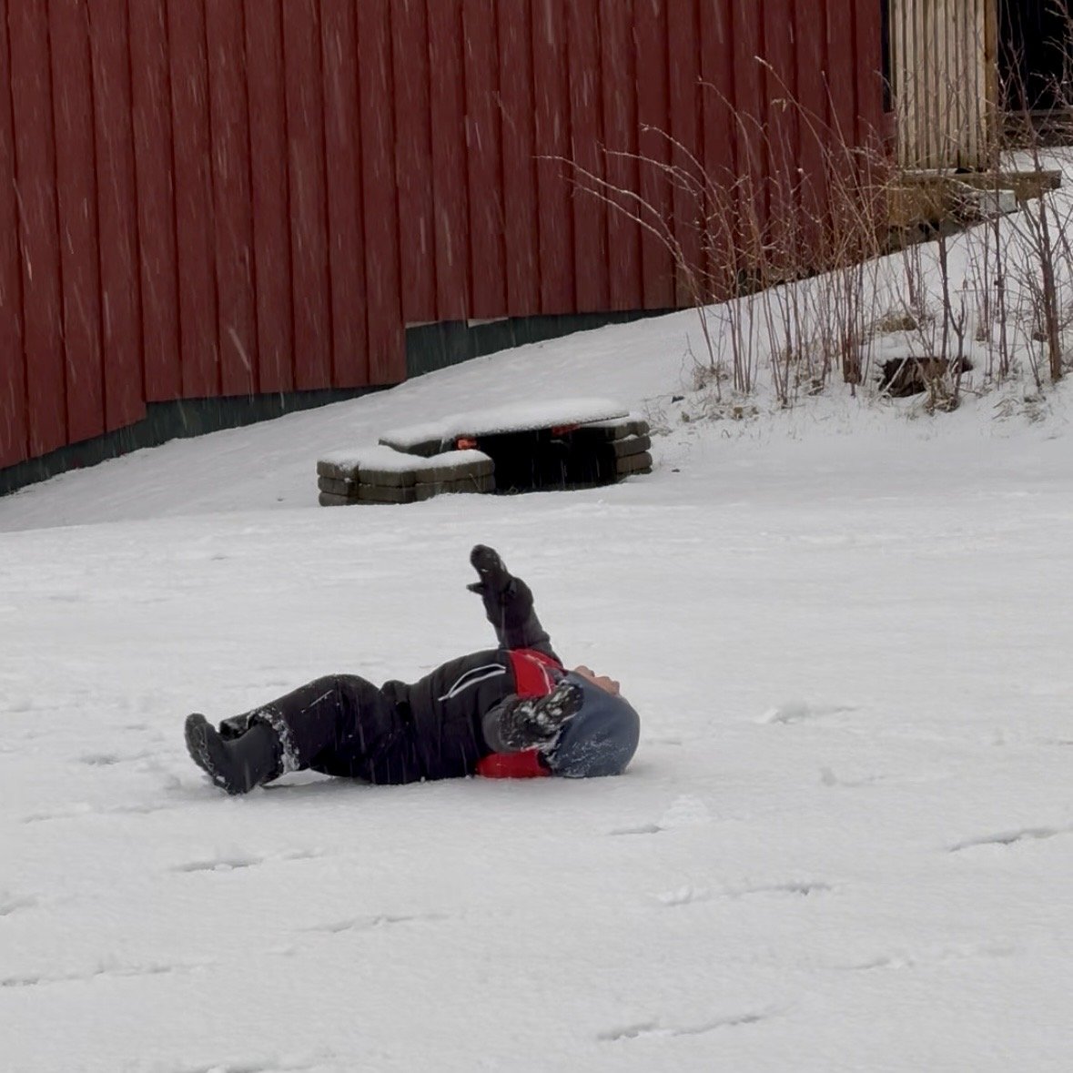 4 playing in snow.jpg