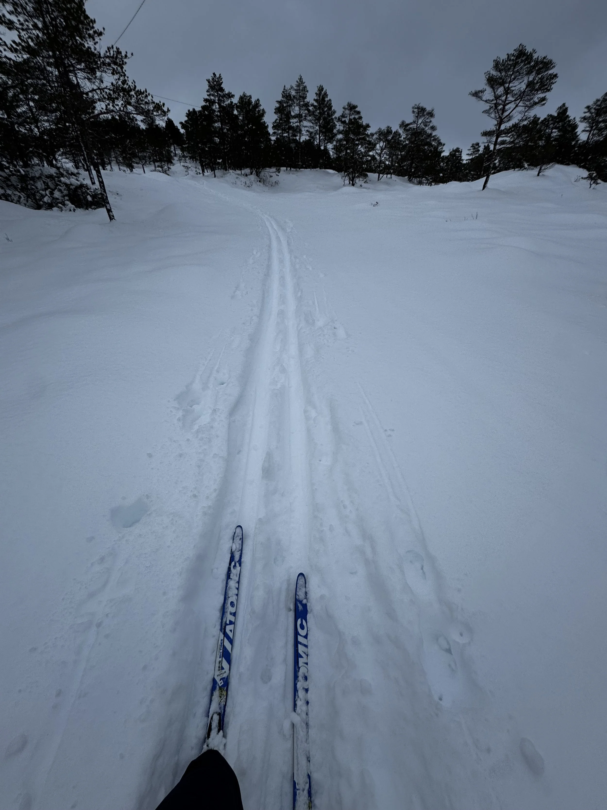 1 skis & trail.jpeg