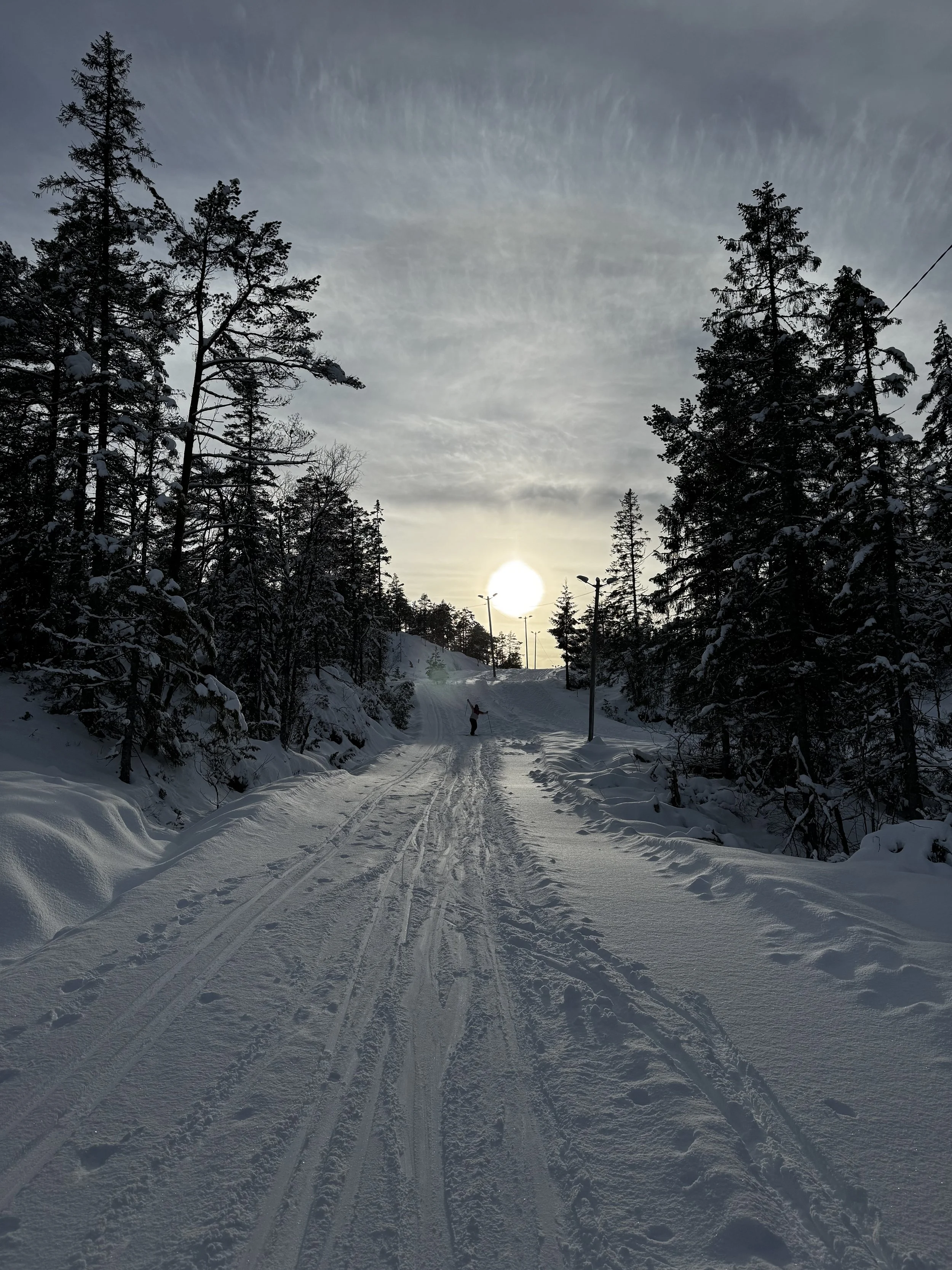 Cross Country Skiing in Norway