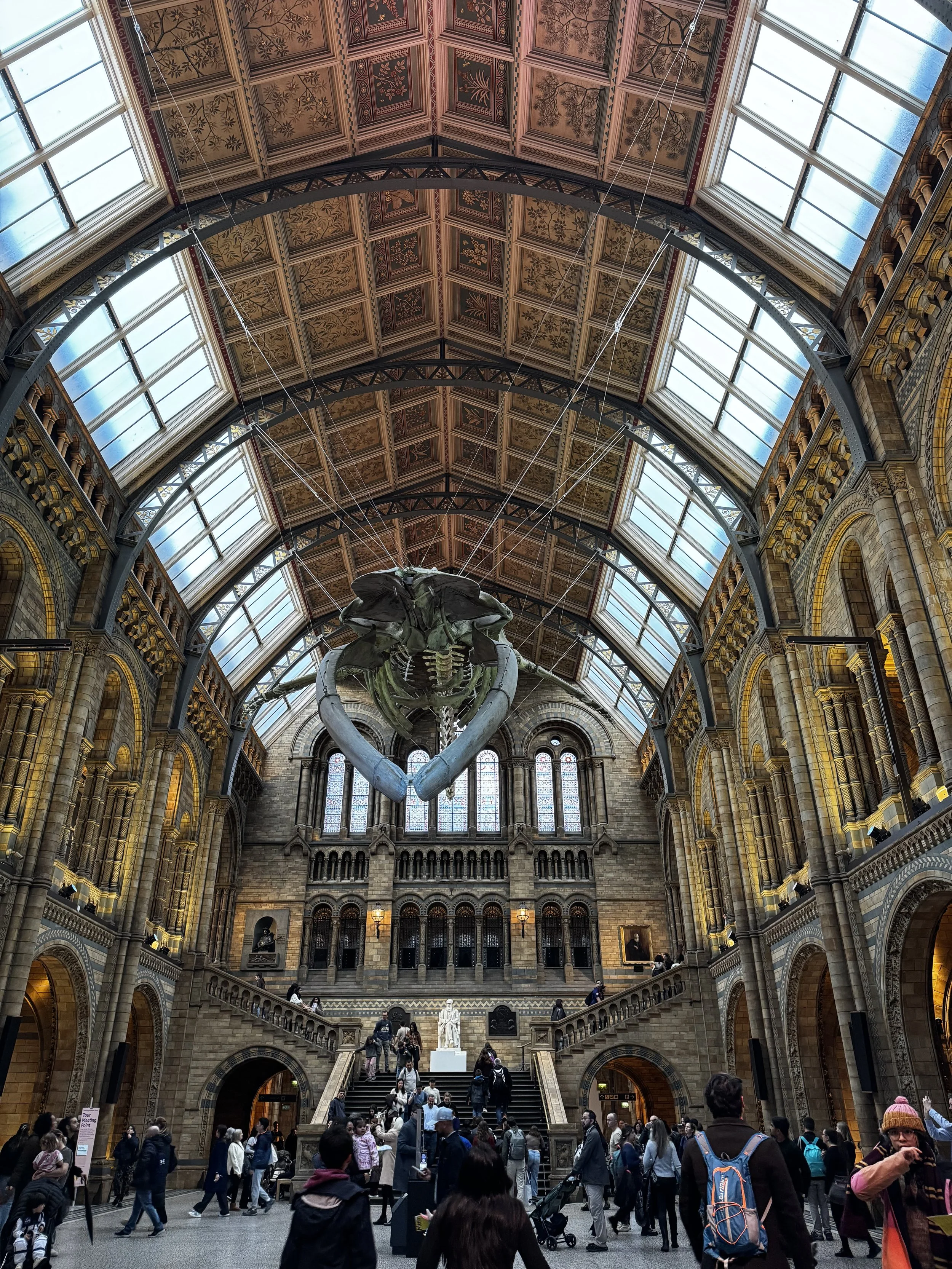 1 NHM interior.jpeg