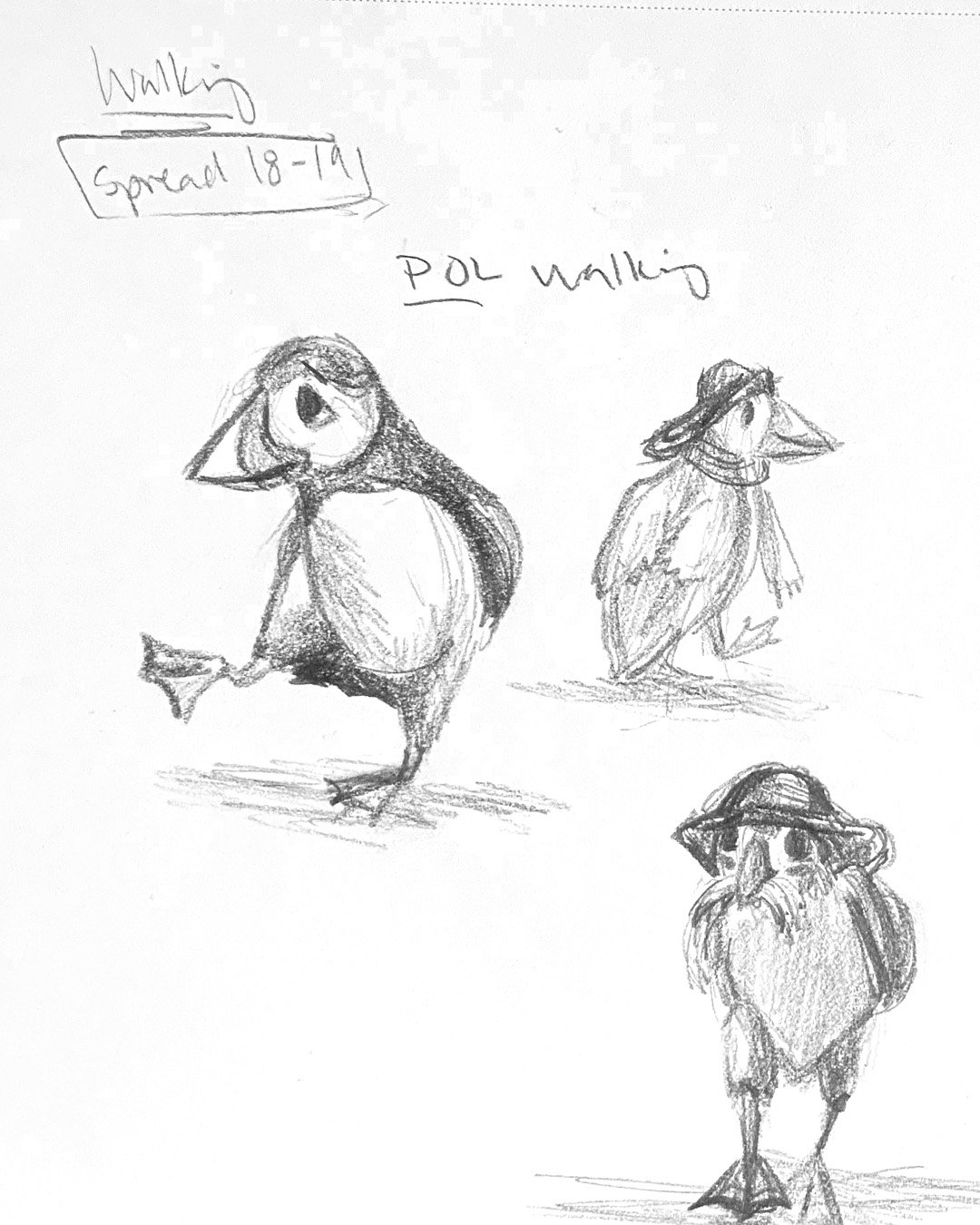 MON_Sketch_Finnegans Lucky Day_childrens book_pol the puffin.jpg