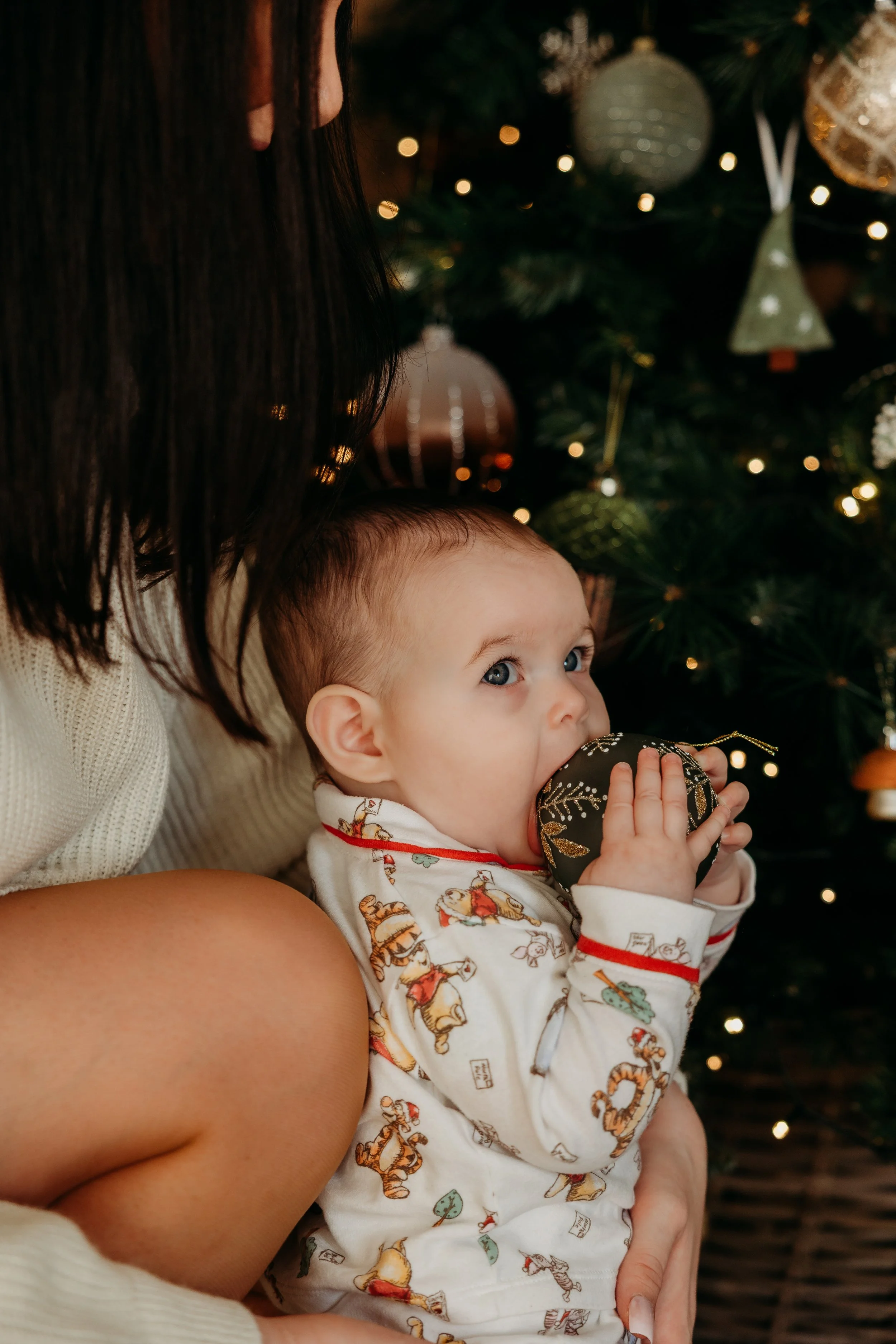 Christmas photoshoot at home, Pembrokeshire