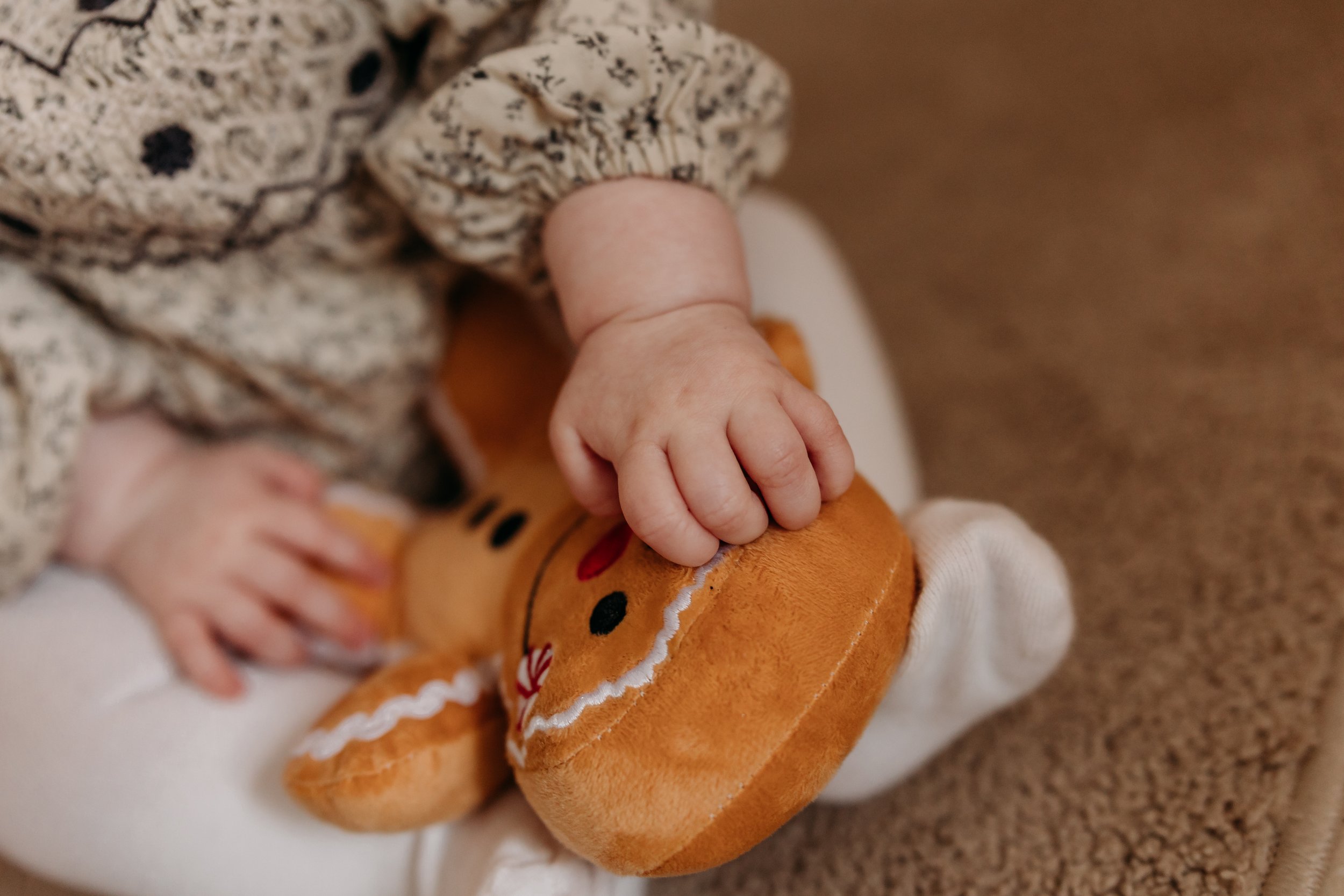 Family Christmas photoshoot at home, Pembrokeshire