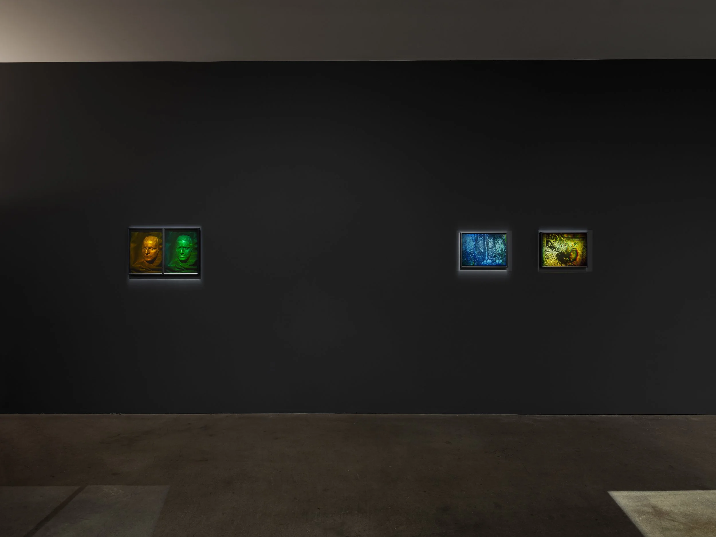 Possession; Experiments and Holography, 2024, Marlborough Gallery, NYC